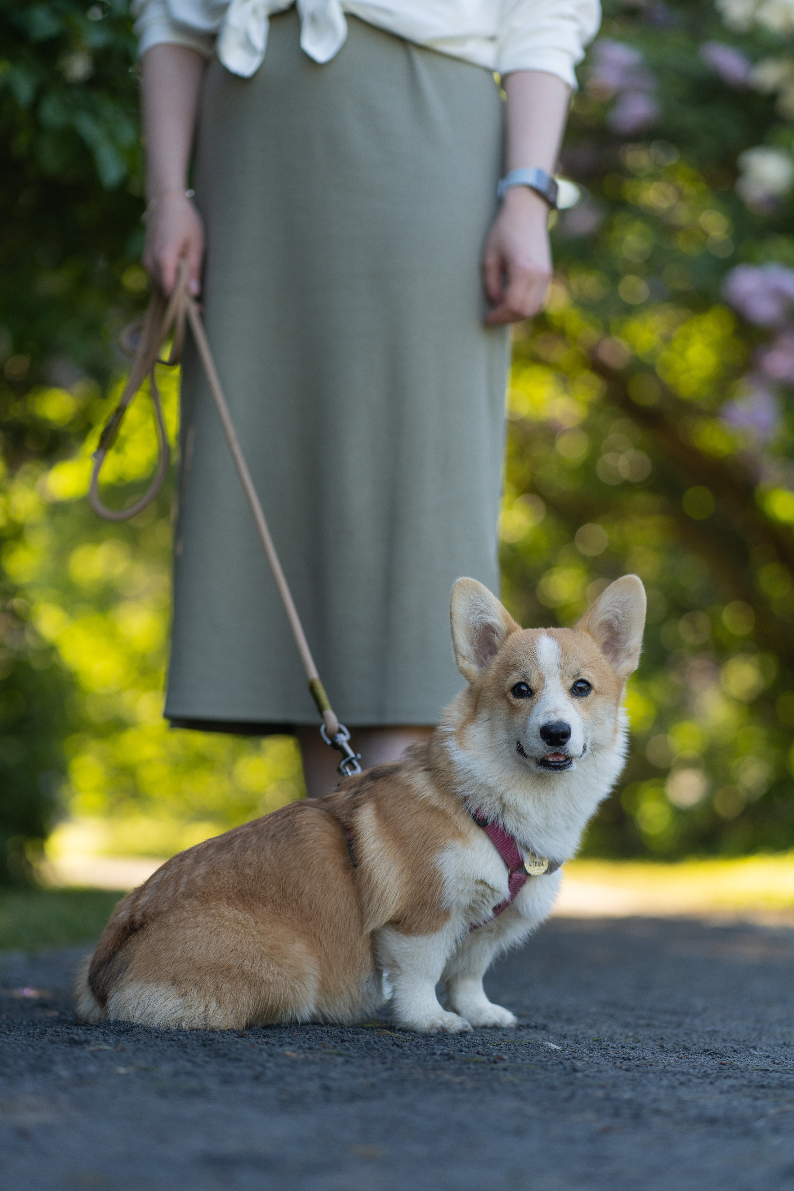 Полина и Стеша, Сиреневый сад. Свадебный фотограф в Москве Анна Полушина