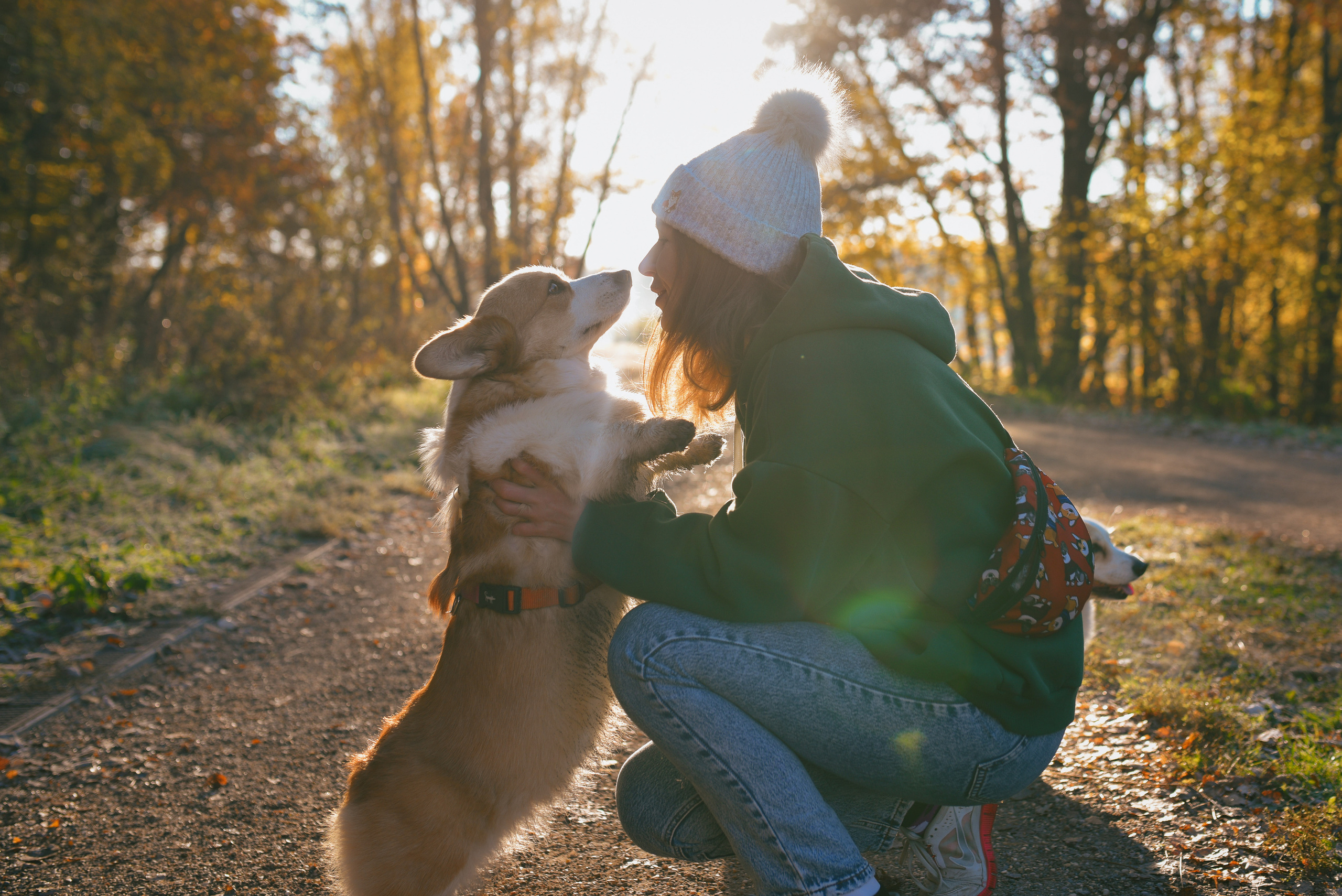 Фотосессия с питомцем в Москве. Свадебный фотограф в Москве Анна Полушина