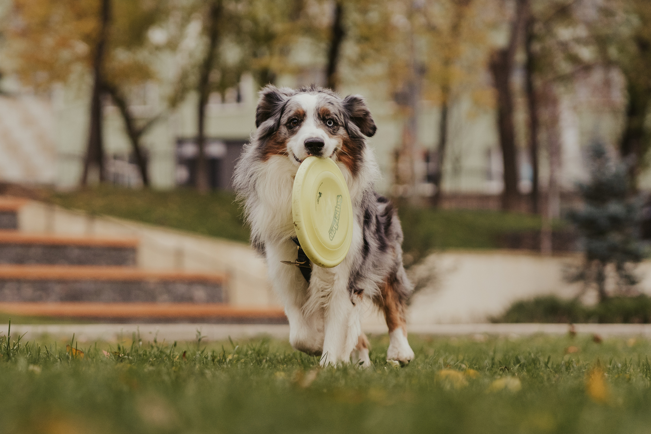 Лена и Принц, Китай- Город. Свадебный фотограф в Москве Анна Полушина