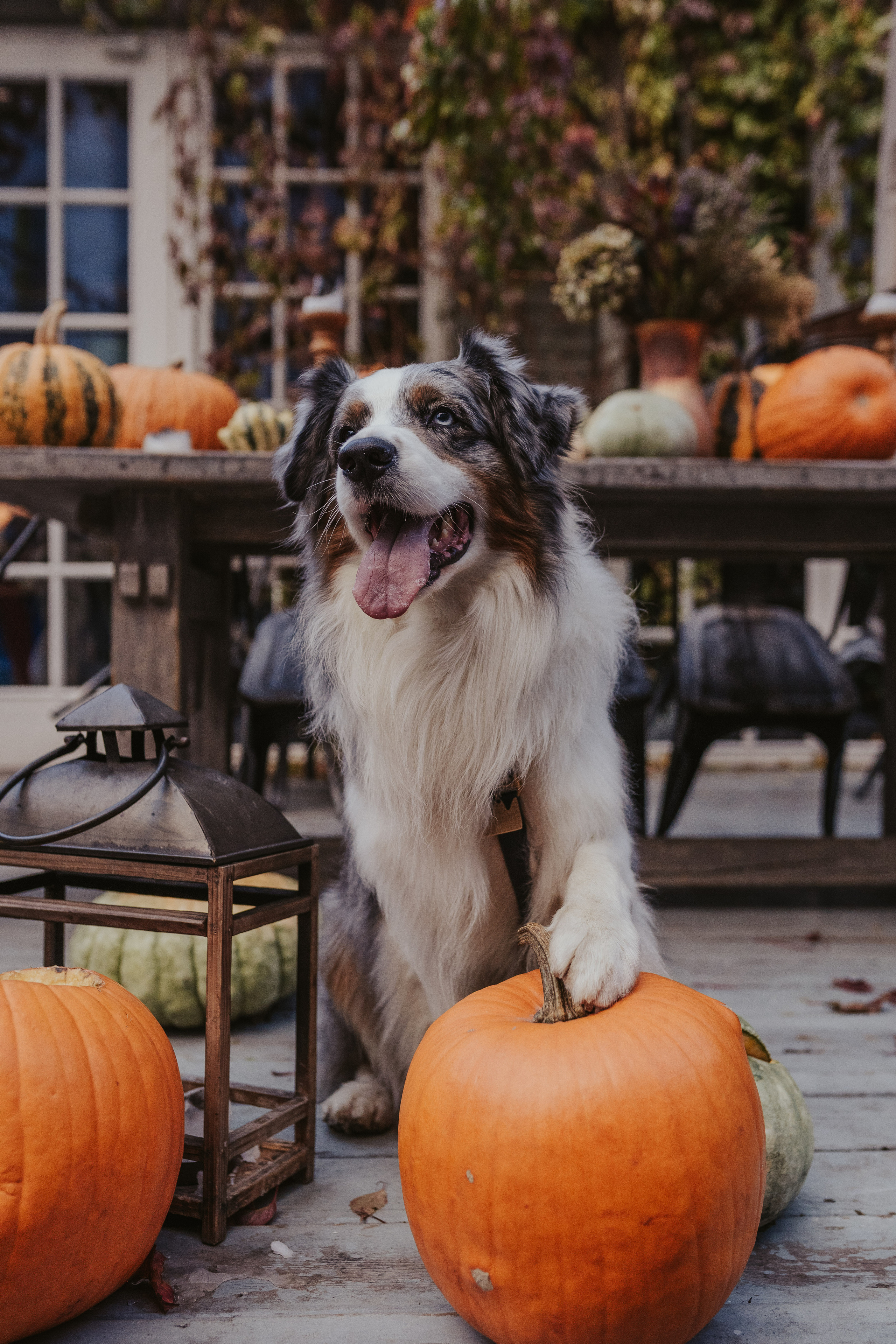 Лена и Принц, Китай- Город. Свадебный фотограф в Москве Анна Полушина
