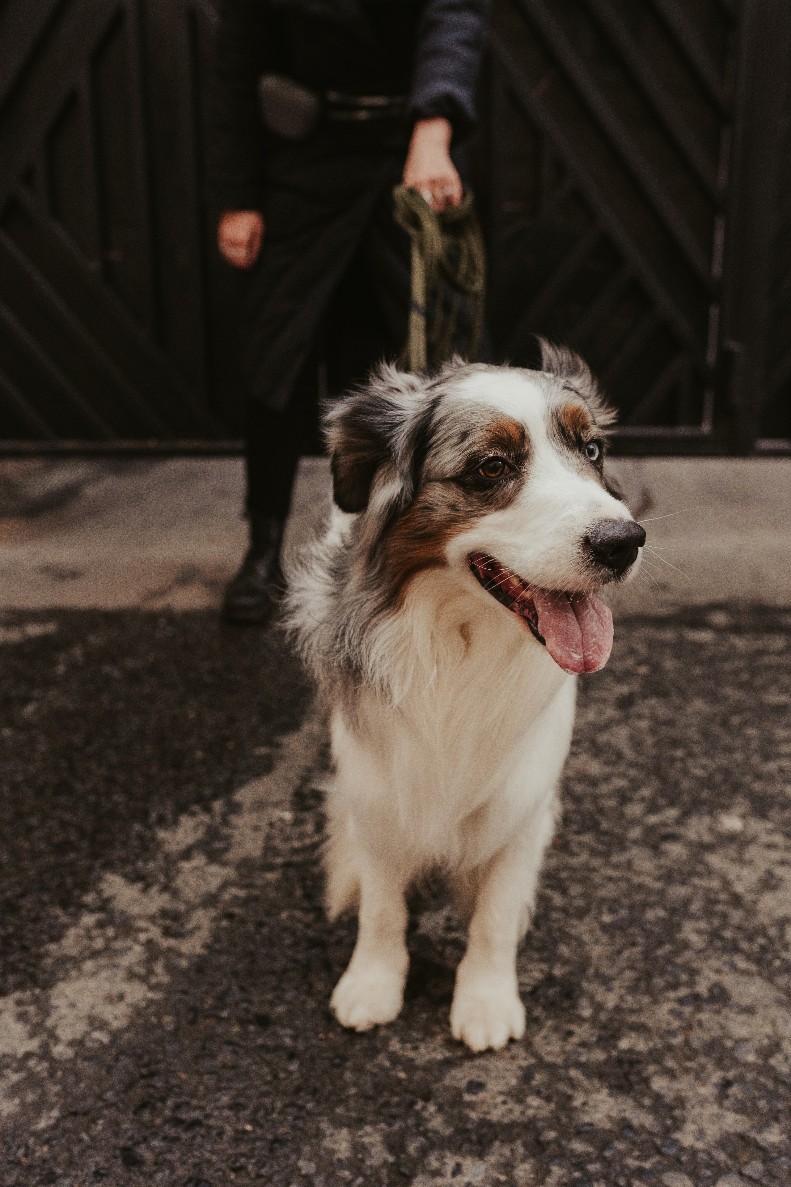 Лена и Принц, Китай- Город. Свадебный фотограф в Москве Анна Полушина