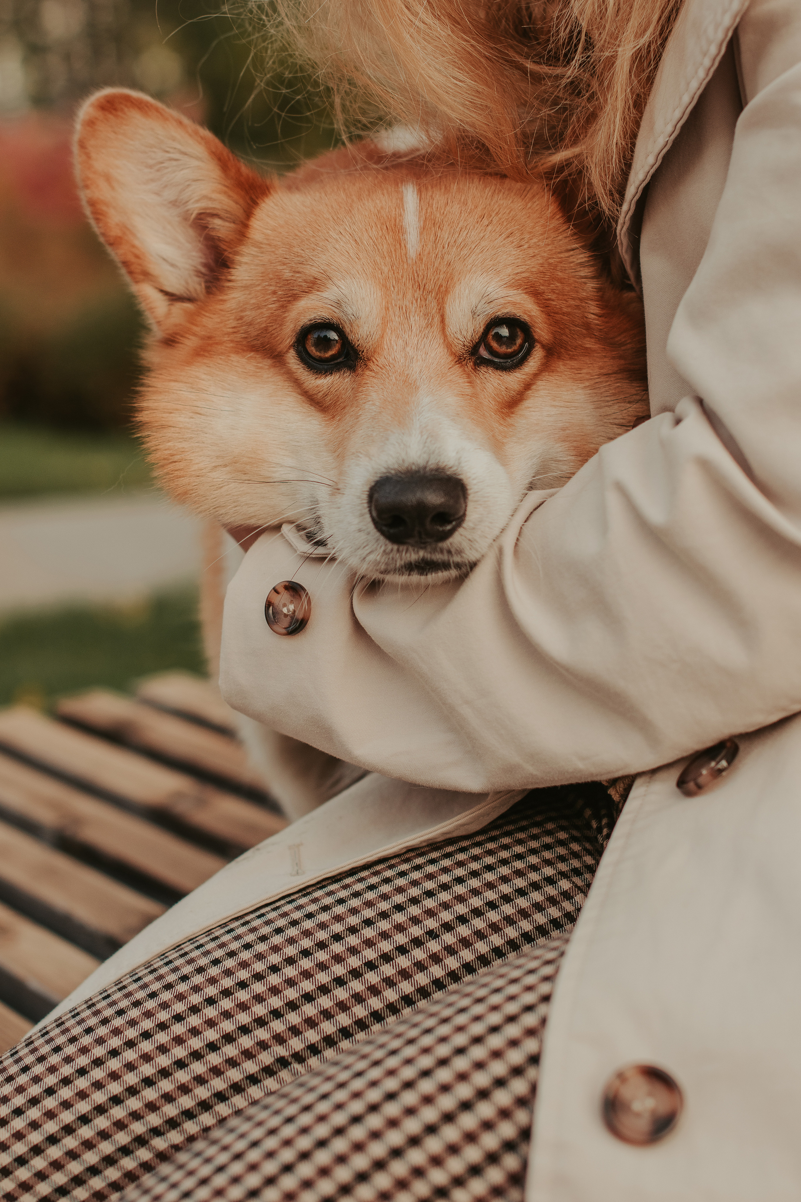 Наташа, Даша и Кевин. Свадебный фотограф в Москве Анна Полушина