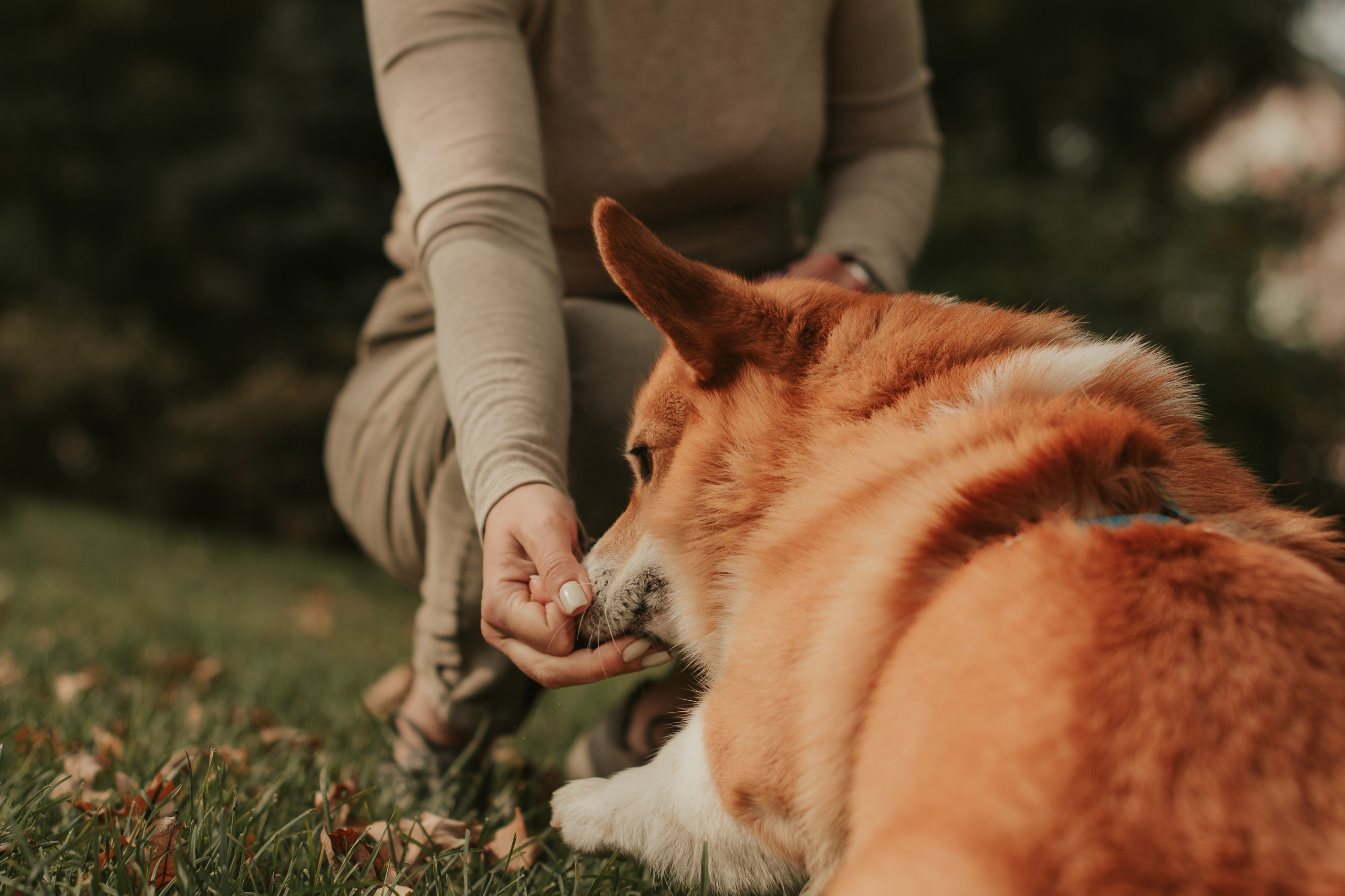 Наташа, Даша и Кевин. Свадебный фотограф в Москве Анна Полушина