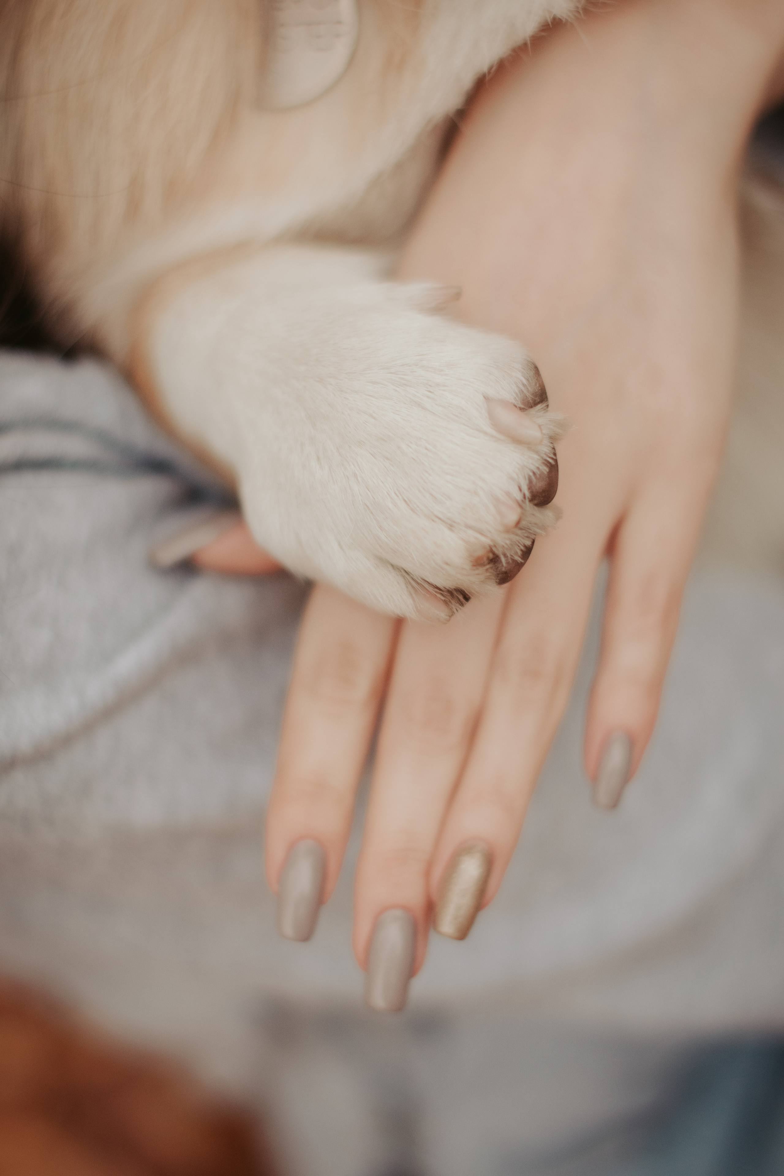 Марина и Мася, Новодевичий сквер. Свадебный фотограф в Москве Анна Полушина