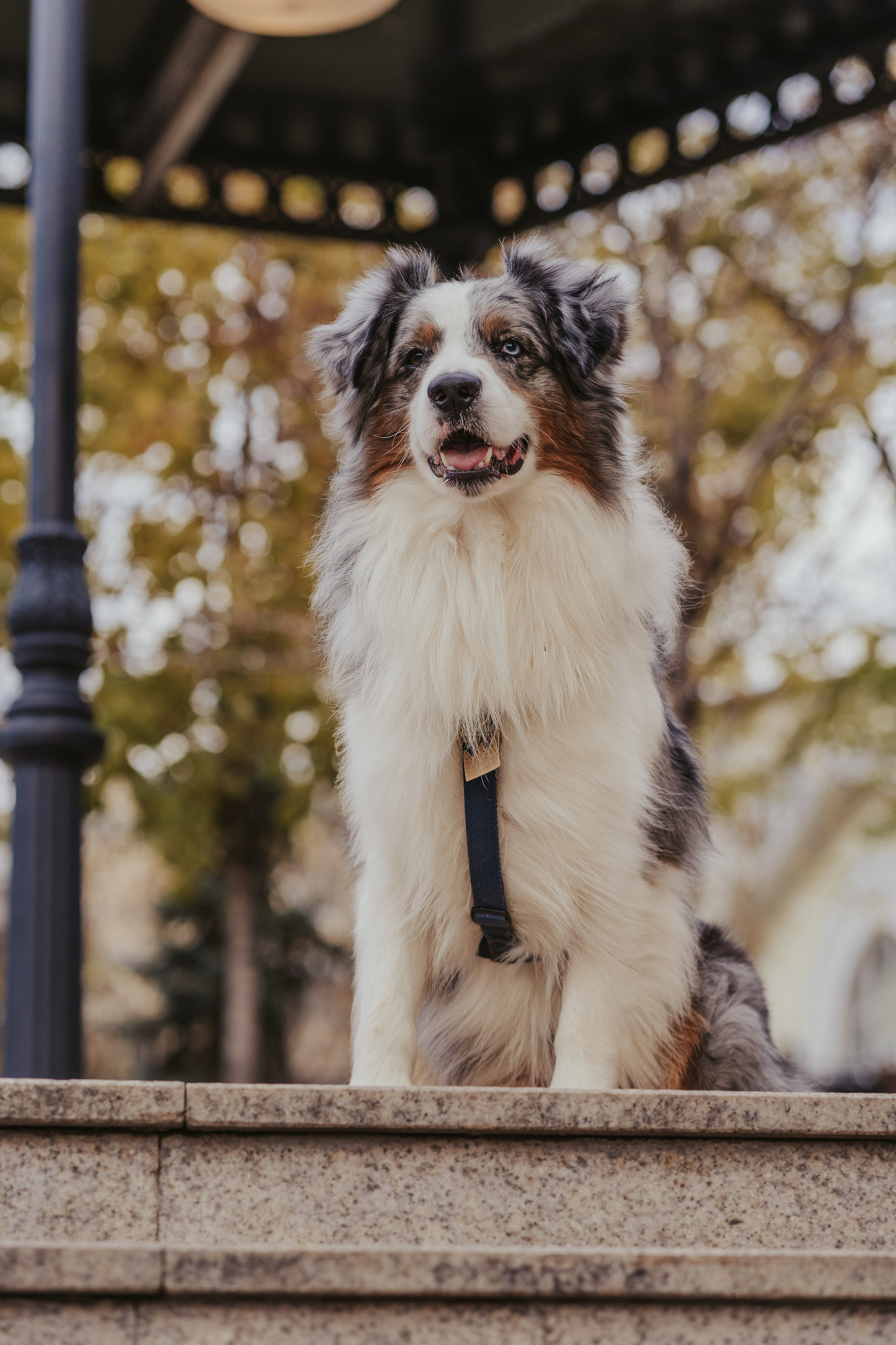 Лена и Принц, Китай- Город. Свадебный фотограф в Москве Анна Полушина