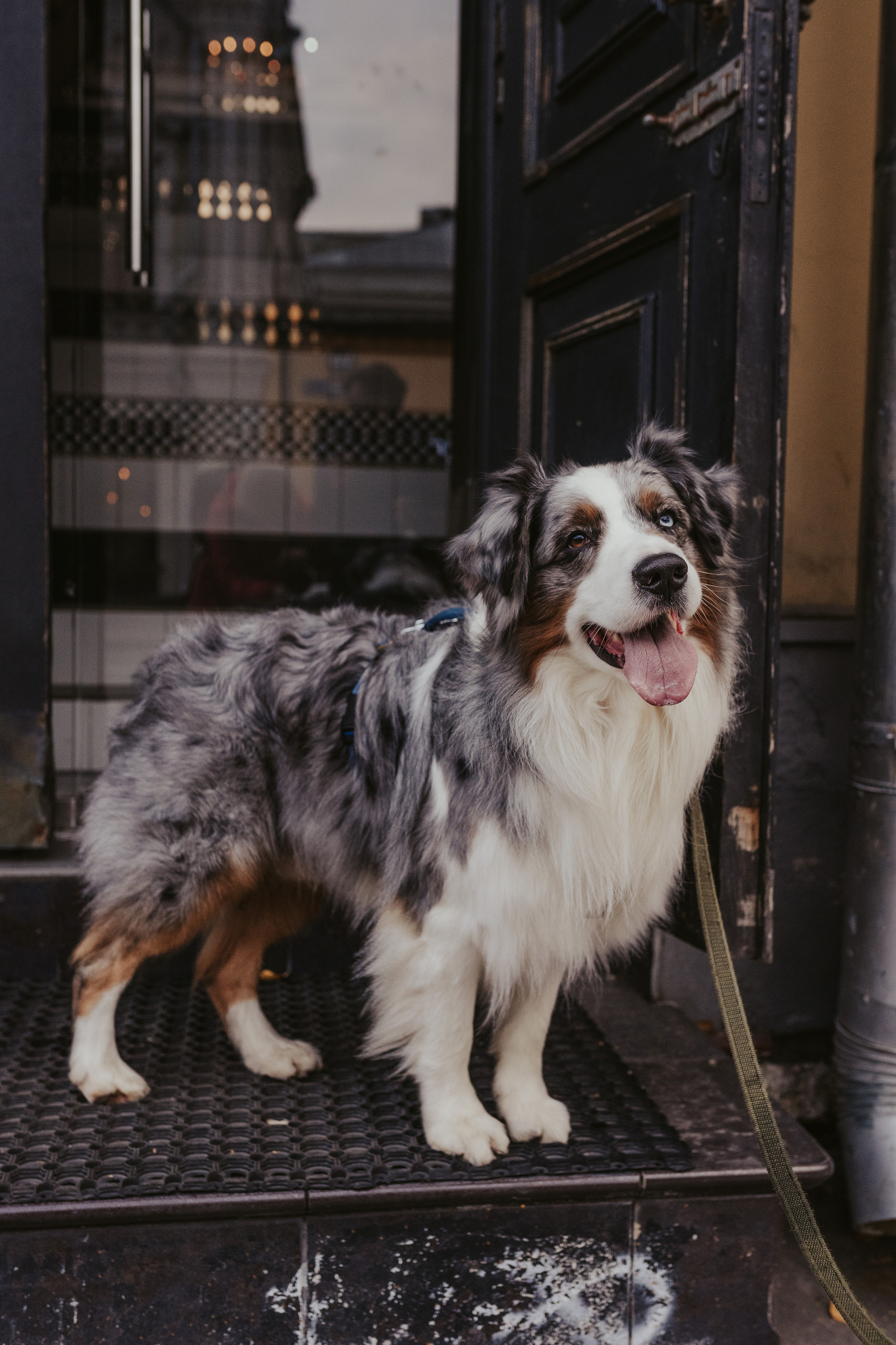 Лена и Принц, Китай- Город. Свадебный фотограф в Москве Анна Полушина
