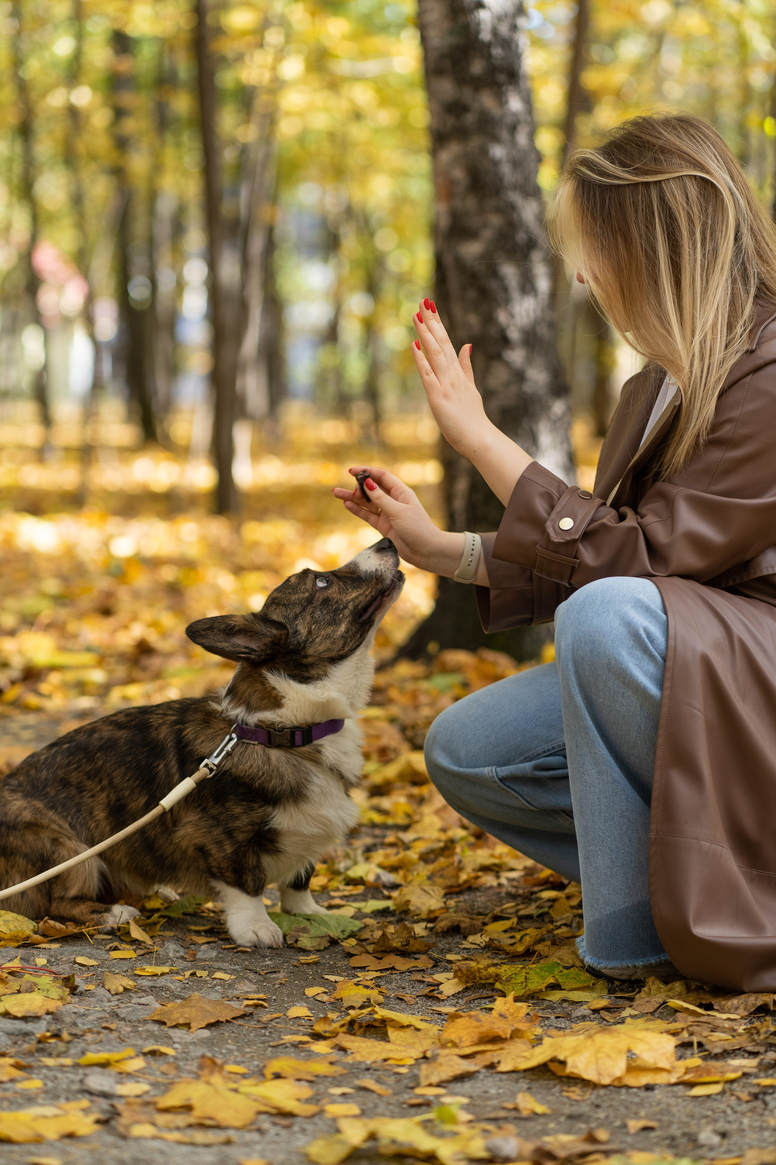 Боря, Даша и Маффин. Свадебный фотограф в Москве Анна Полушина