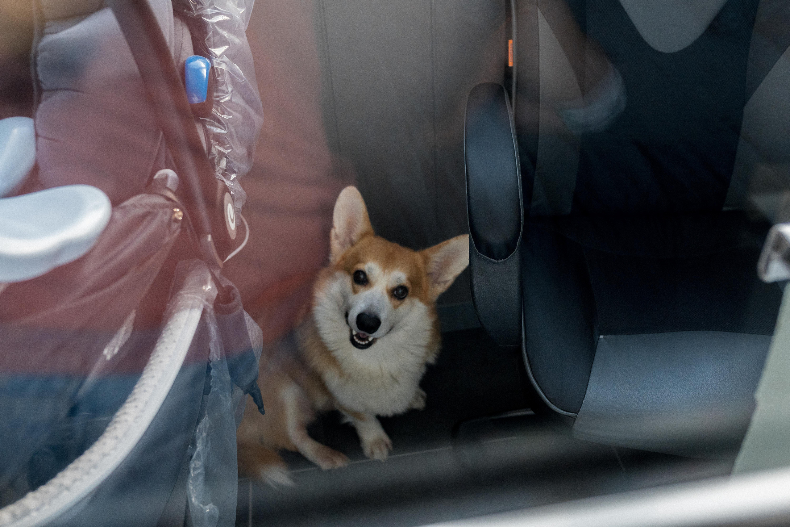 Семейная фотосессия в Москве, семейный фотограф Анна Полушина. Свадебный фотограф в Москве Анна Полушина
