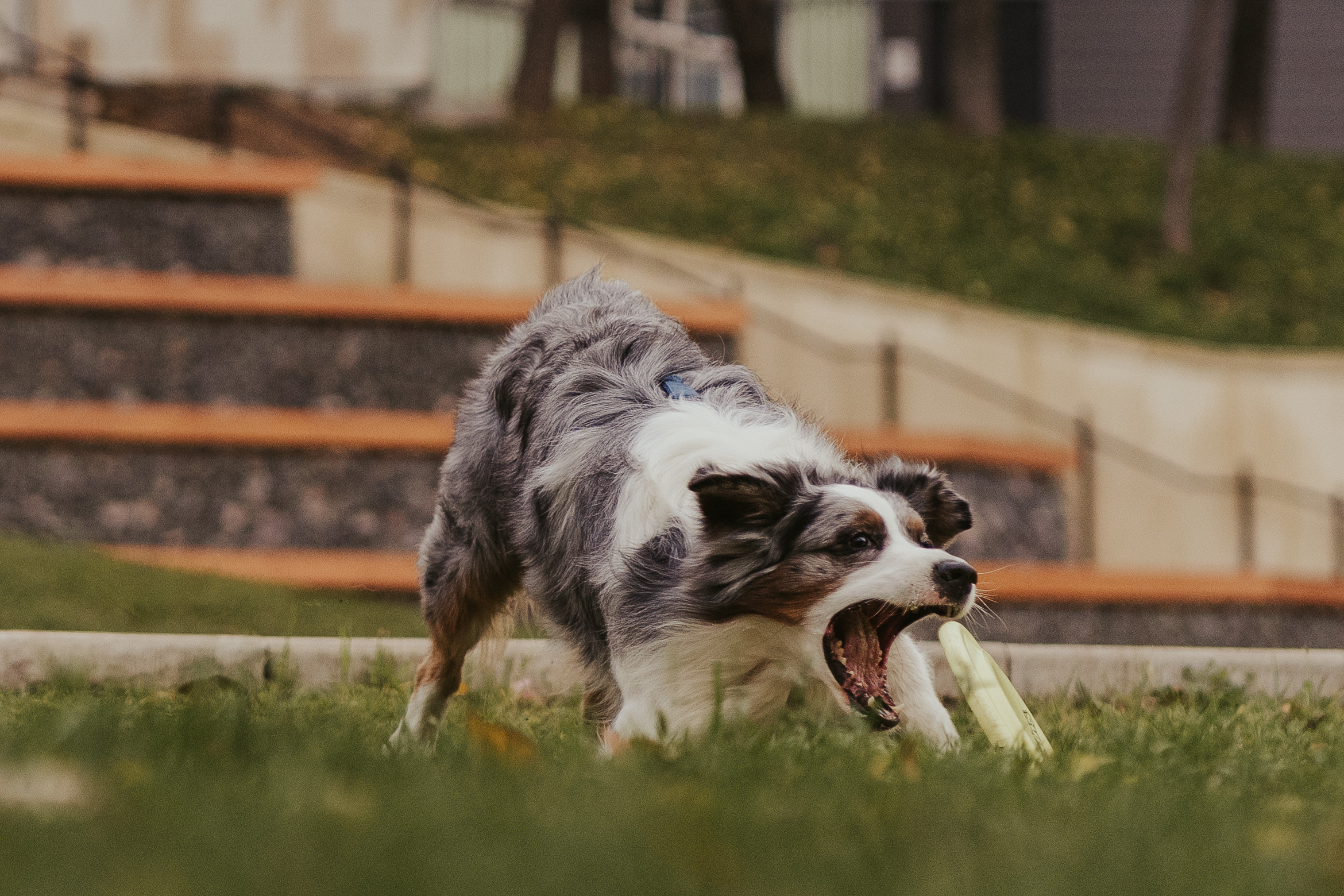 Лена и Принц, Китай- Город. Свадебный фотограф в Москве Анна Полушина