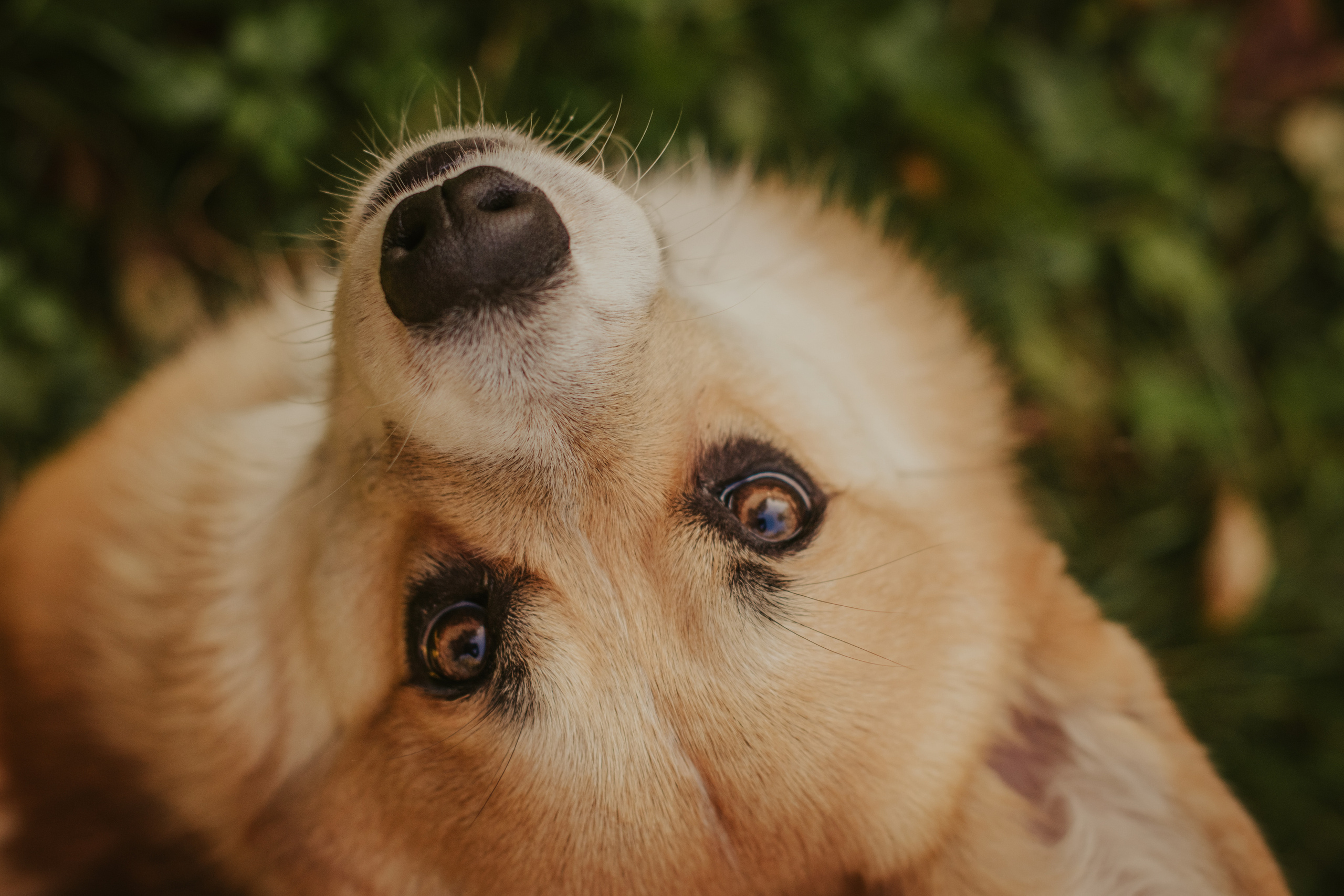 Катя и Оливер, Сокольники. Свадебный фотограф в Москве Анна Полушина