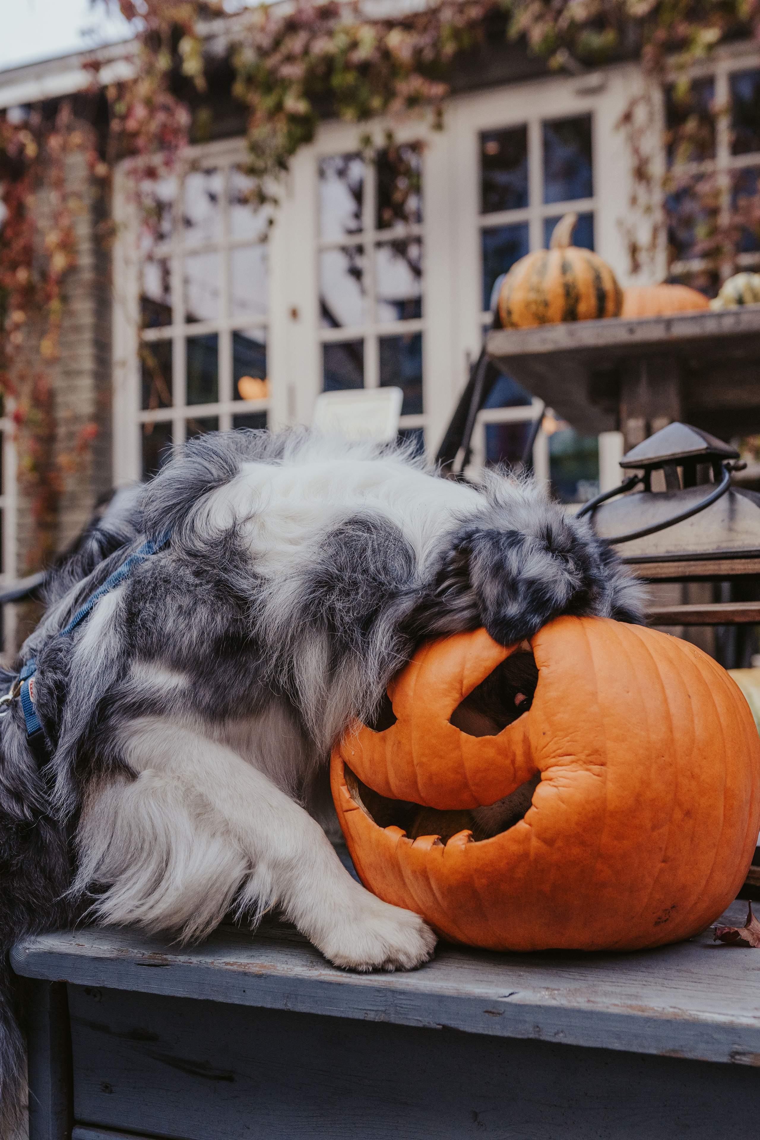 Лена и Принц, Китай- Город. Свадебный фотограф в Москве Анна Полушина