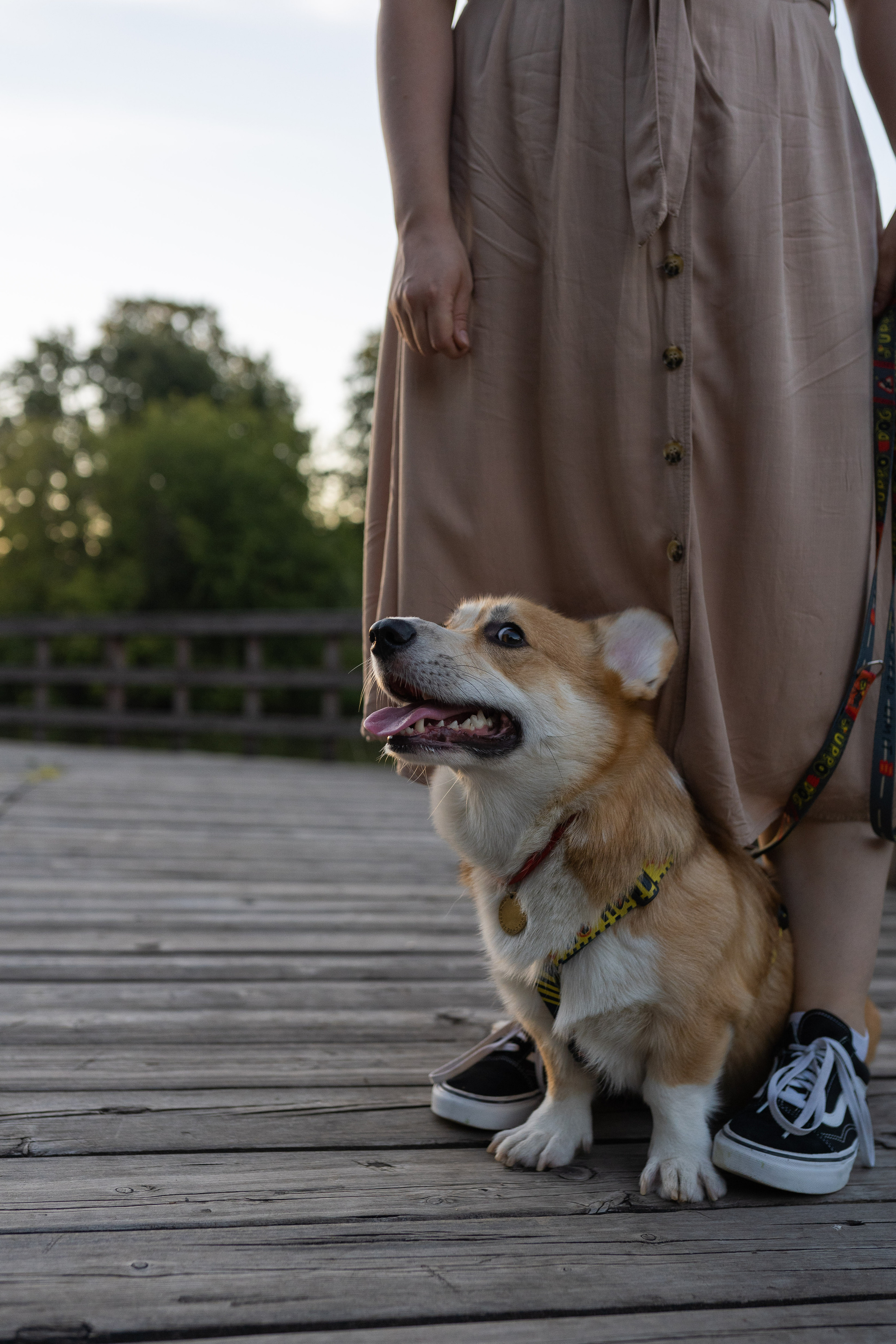 Катя и Боря, Джамгаровский парк. Свадебный фотограф в Москве Анна Полушина