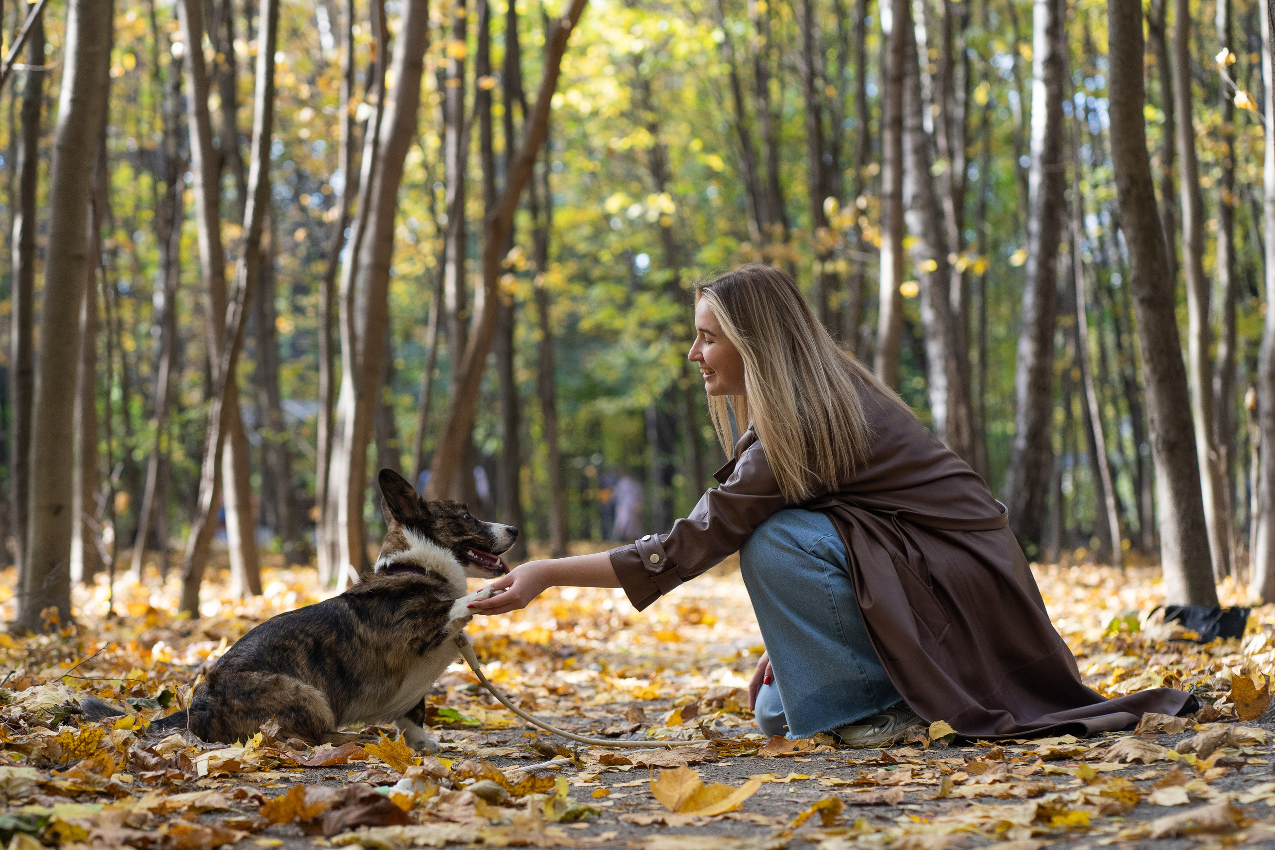 Боря, Даша и Маффин. Свадебный фотограф в Москве Анна Полушина