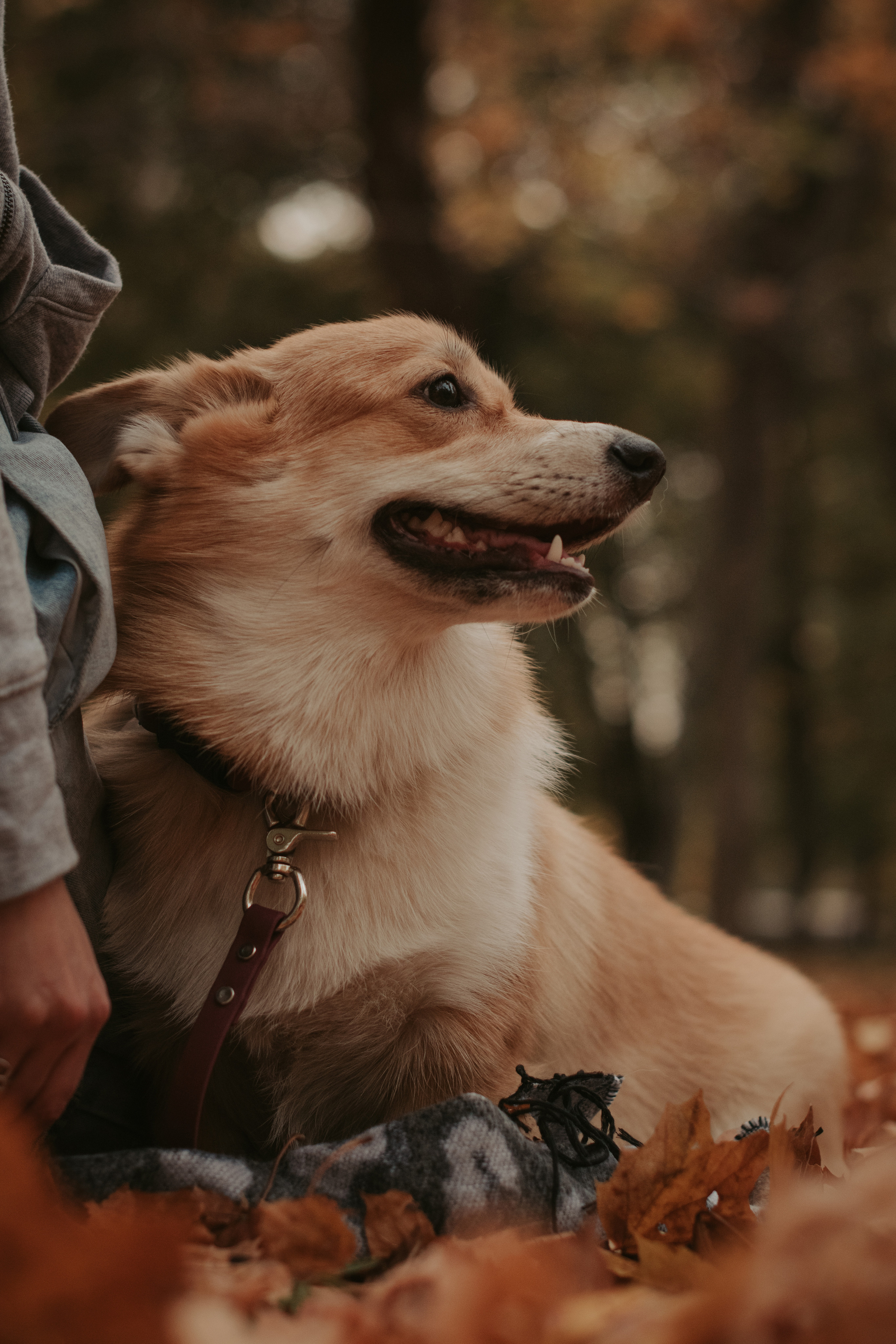 Марина и Мася, Новодевичий сквер. Свадебный фотограф в Москве Анна Полушина