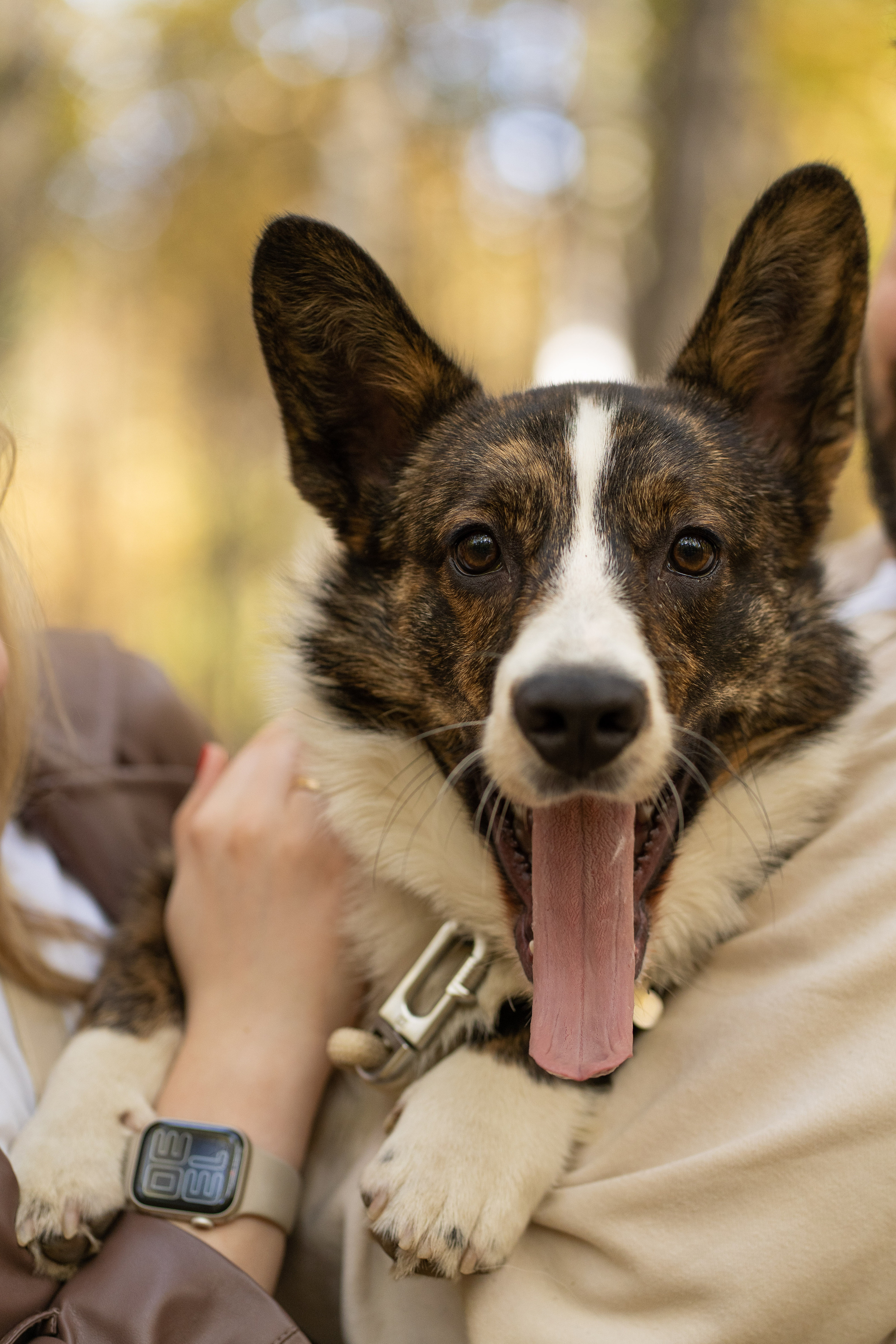 Боря, Даша и Маффин. Свадебный фотограф в Москве Анна Полушина