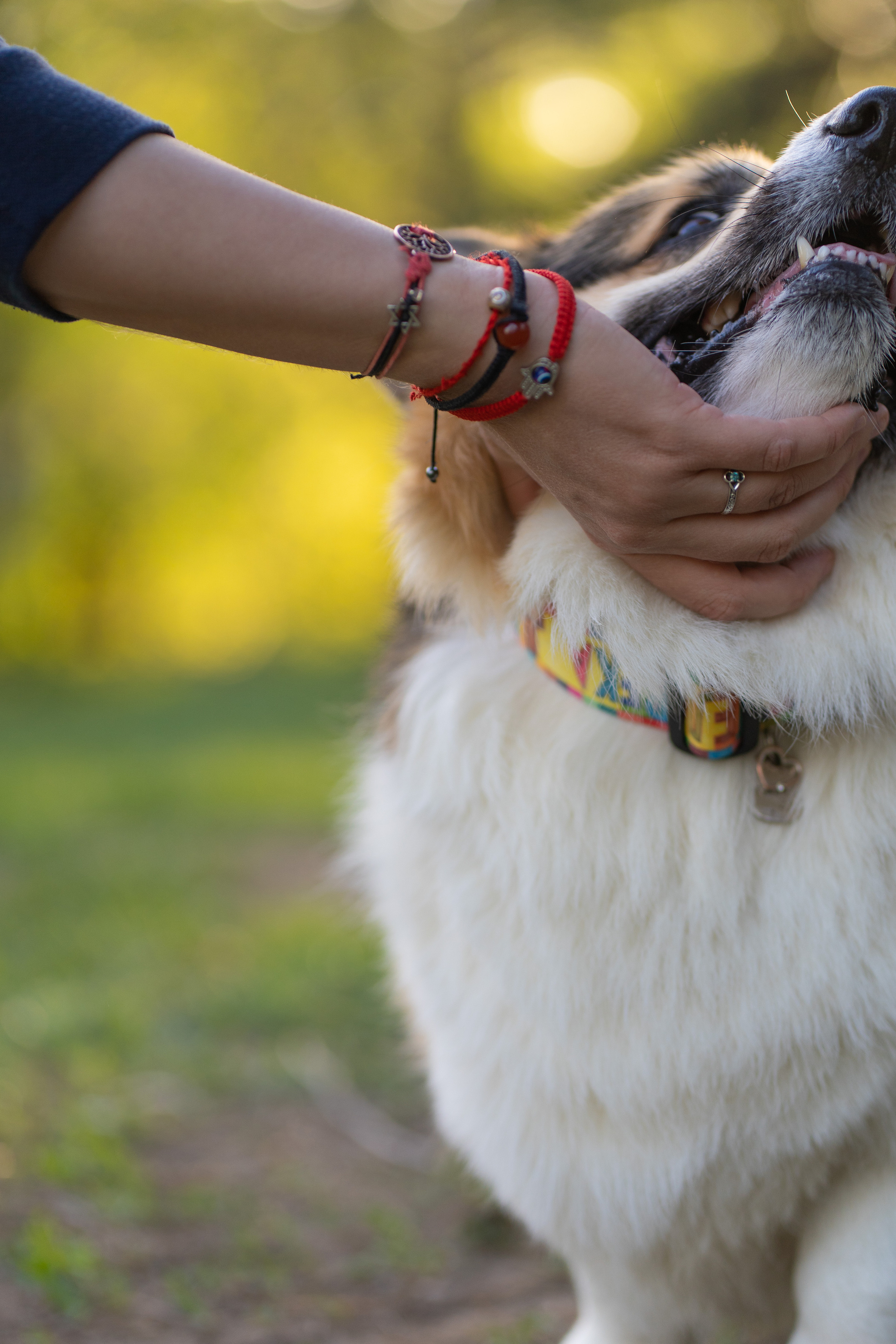 Катя и Честер, Серебряный бор. Свадебный фотограф в Москве Анна Полушина
