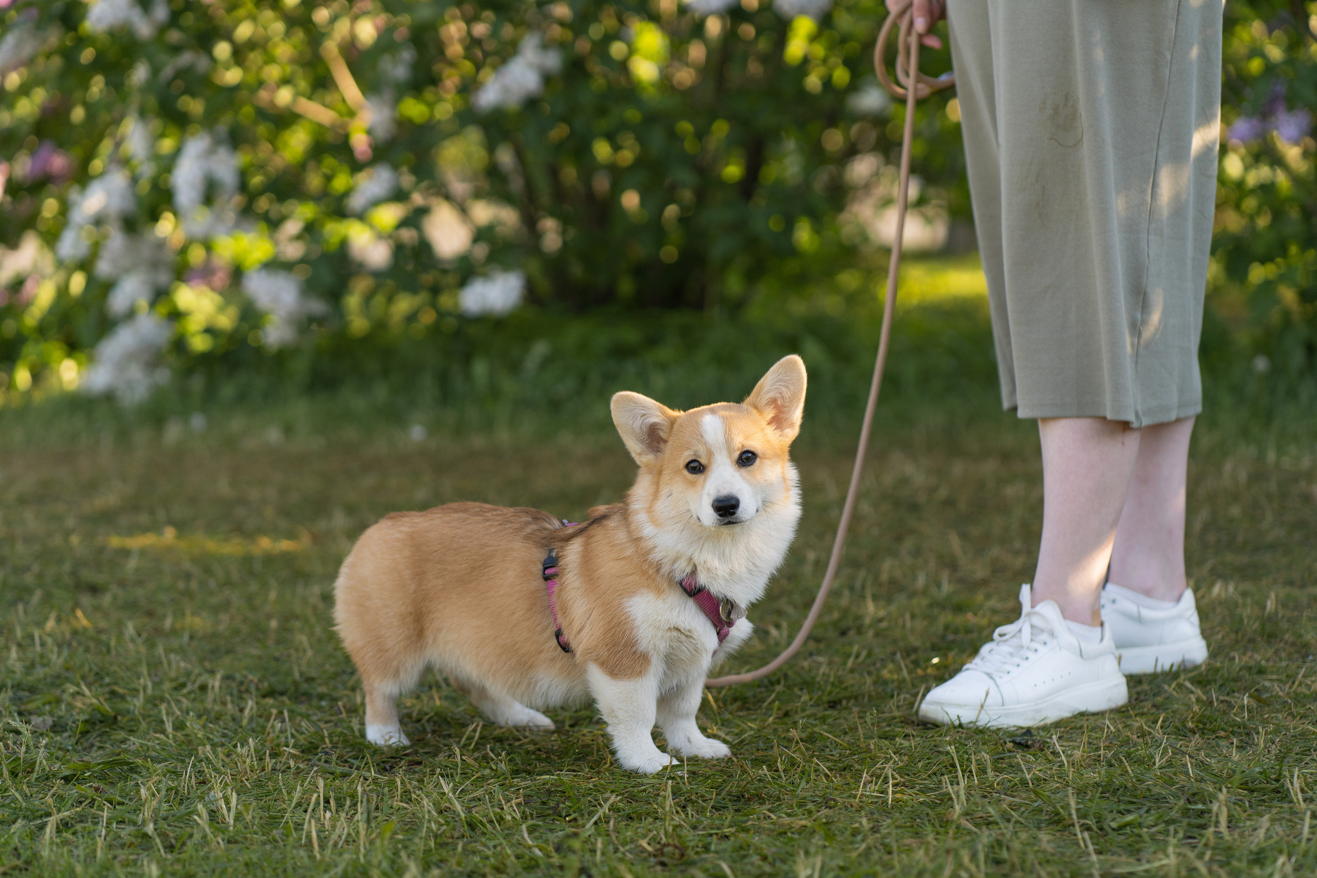 Полина и Стеша, Сиреневый сад. Свадебный фотограф в Москве Анна Полушина