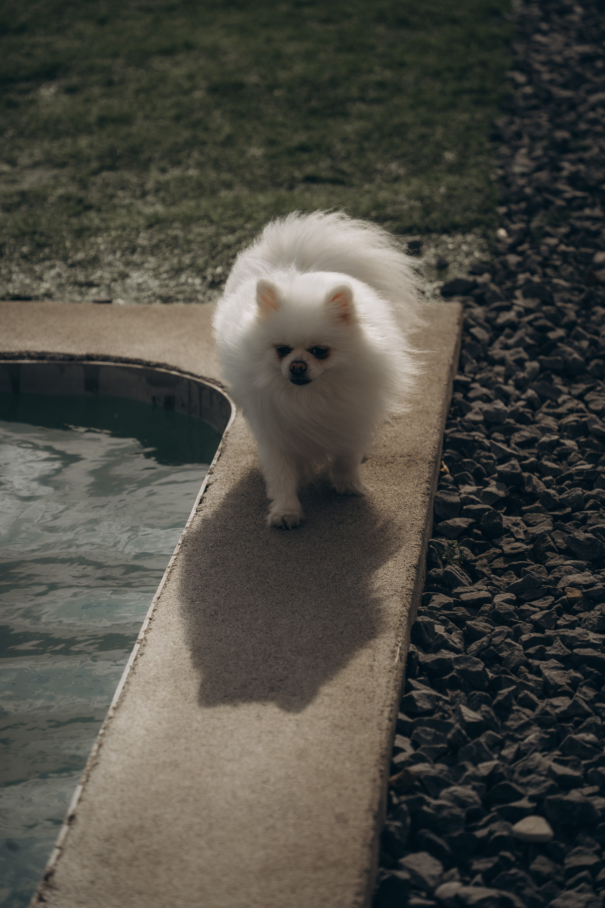 Девичник на День Рождении Марины. Семейный lifestyle фотограф в Ростове-на-Дону