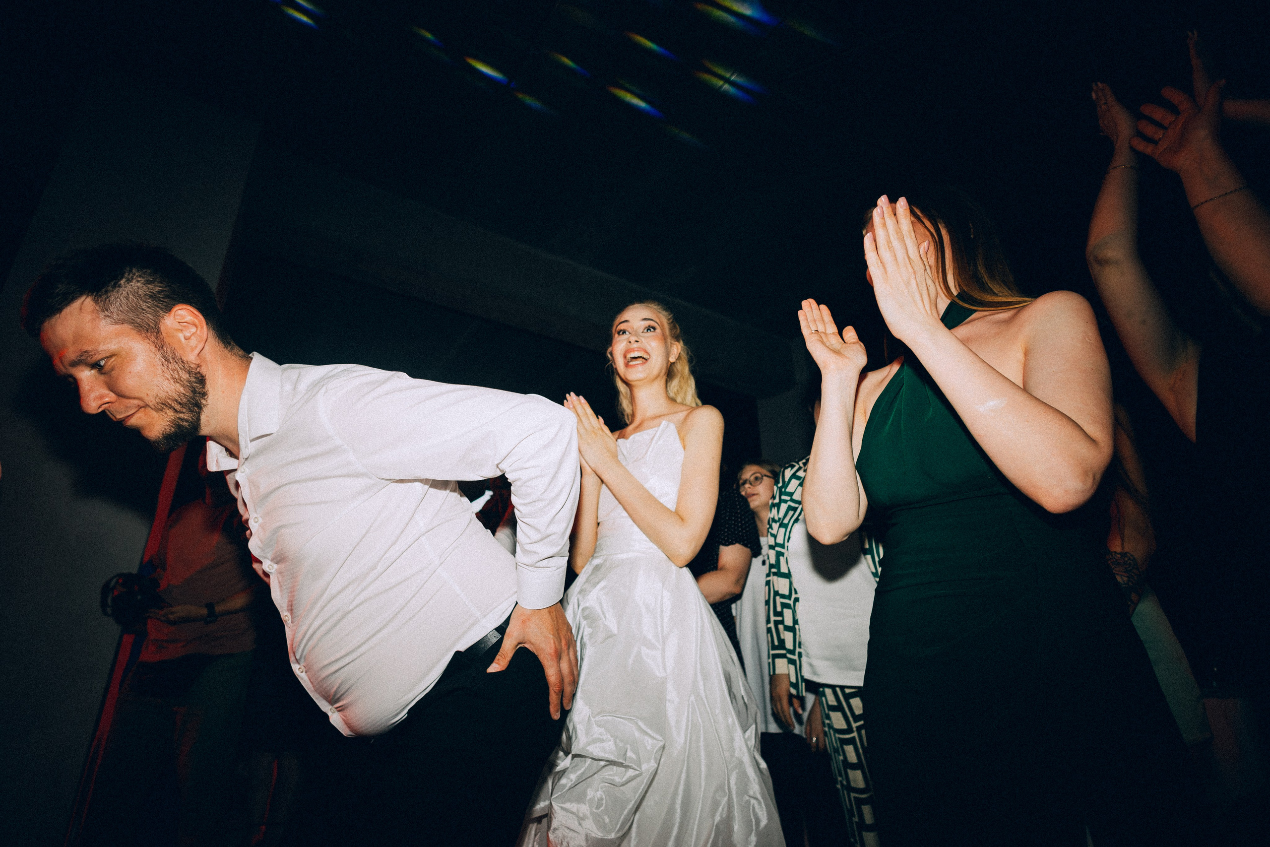 Dandelions. Daria Chigintseva Photographer