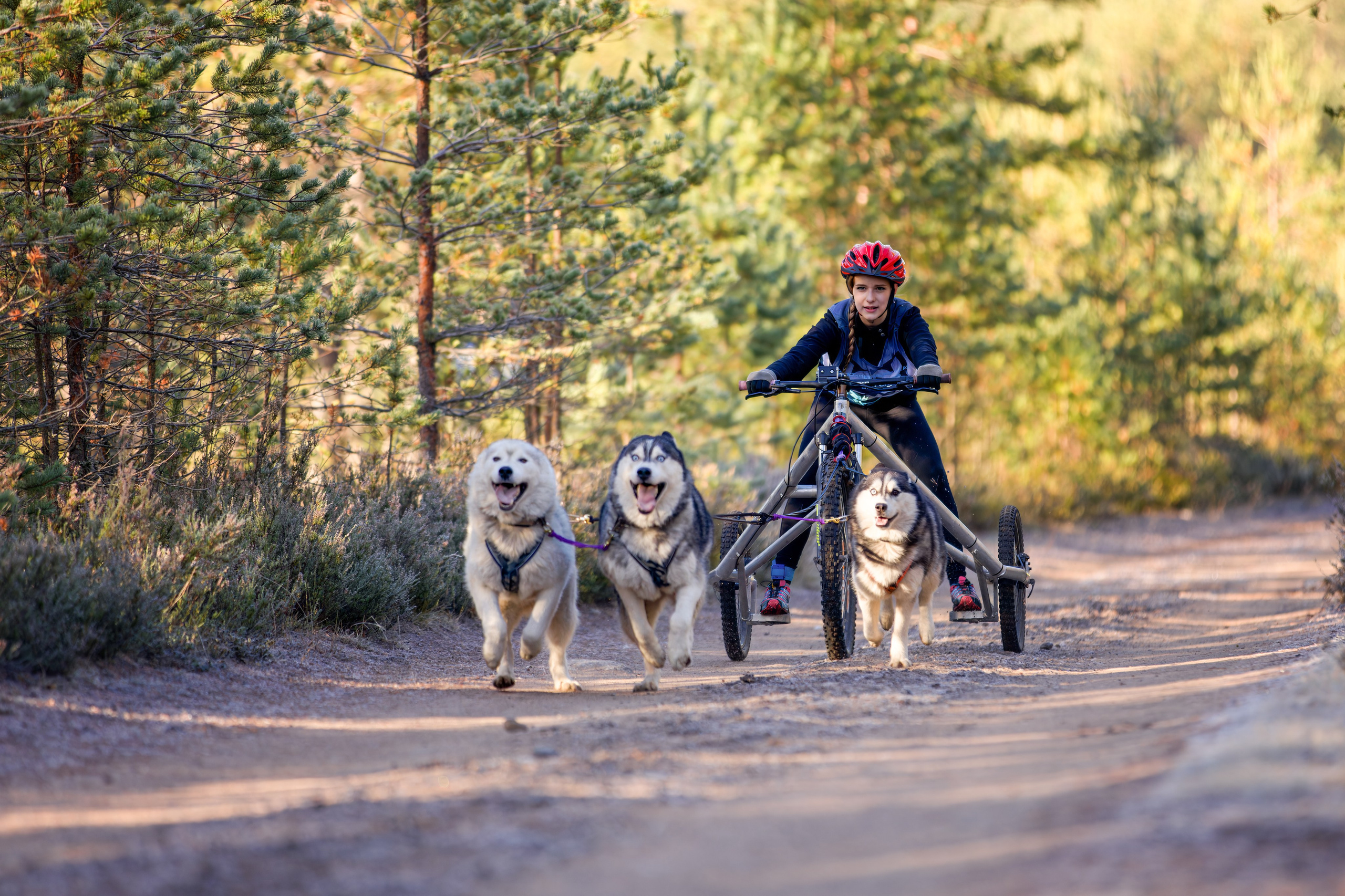 Чемпионат Санкт-Петербурга осень 2025. Irenephoto.ru