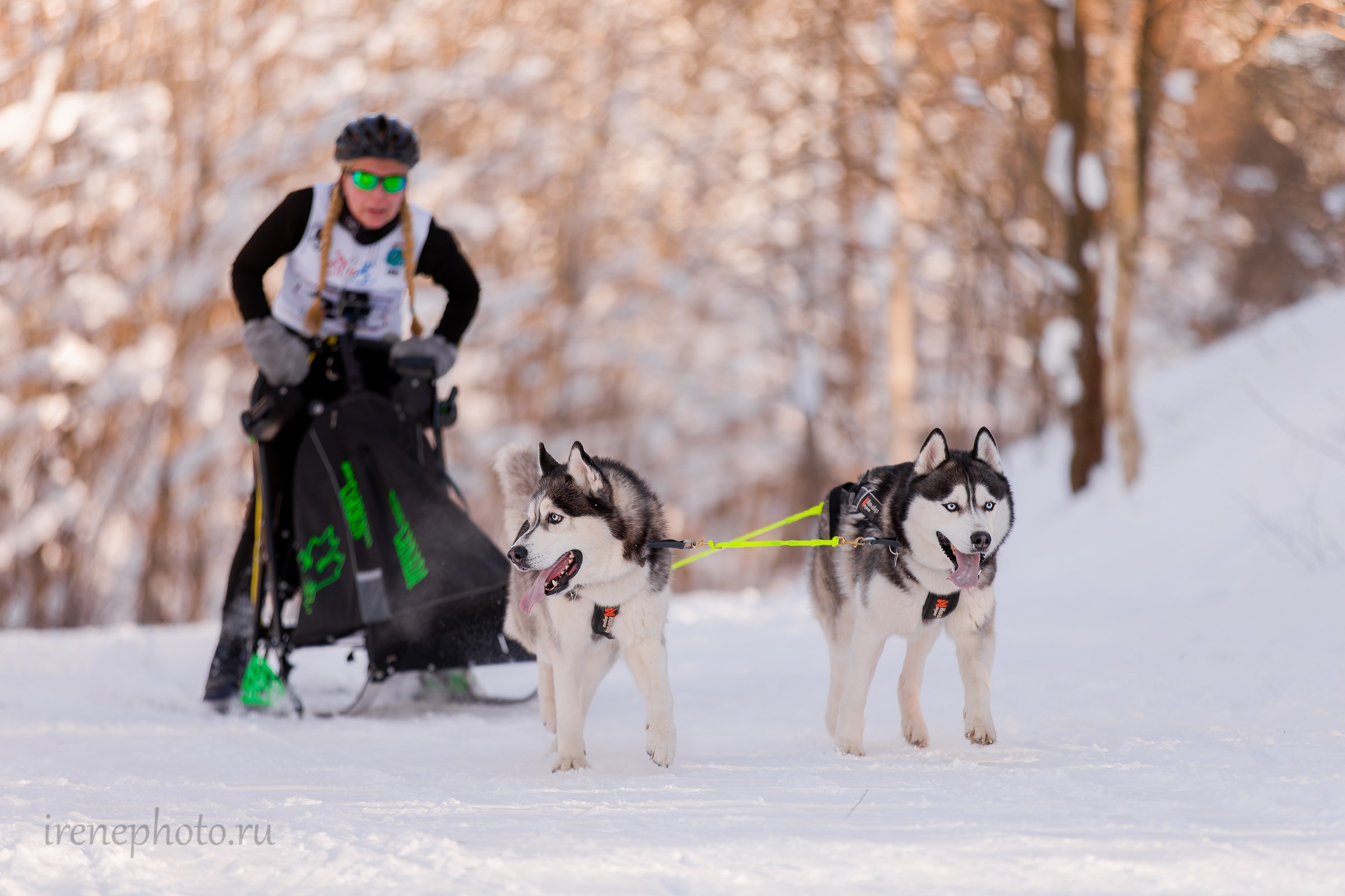 Чемпионат и Первенство Ленобласти — зима 2026. Irenephoto.ru