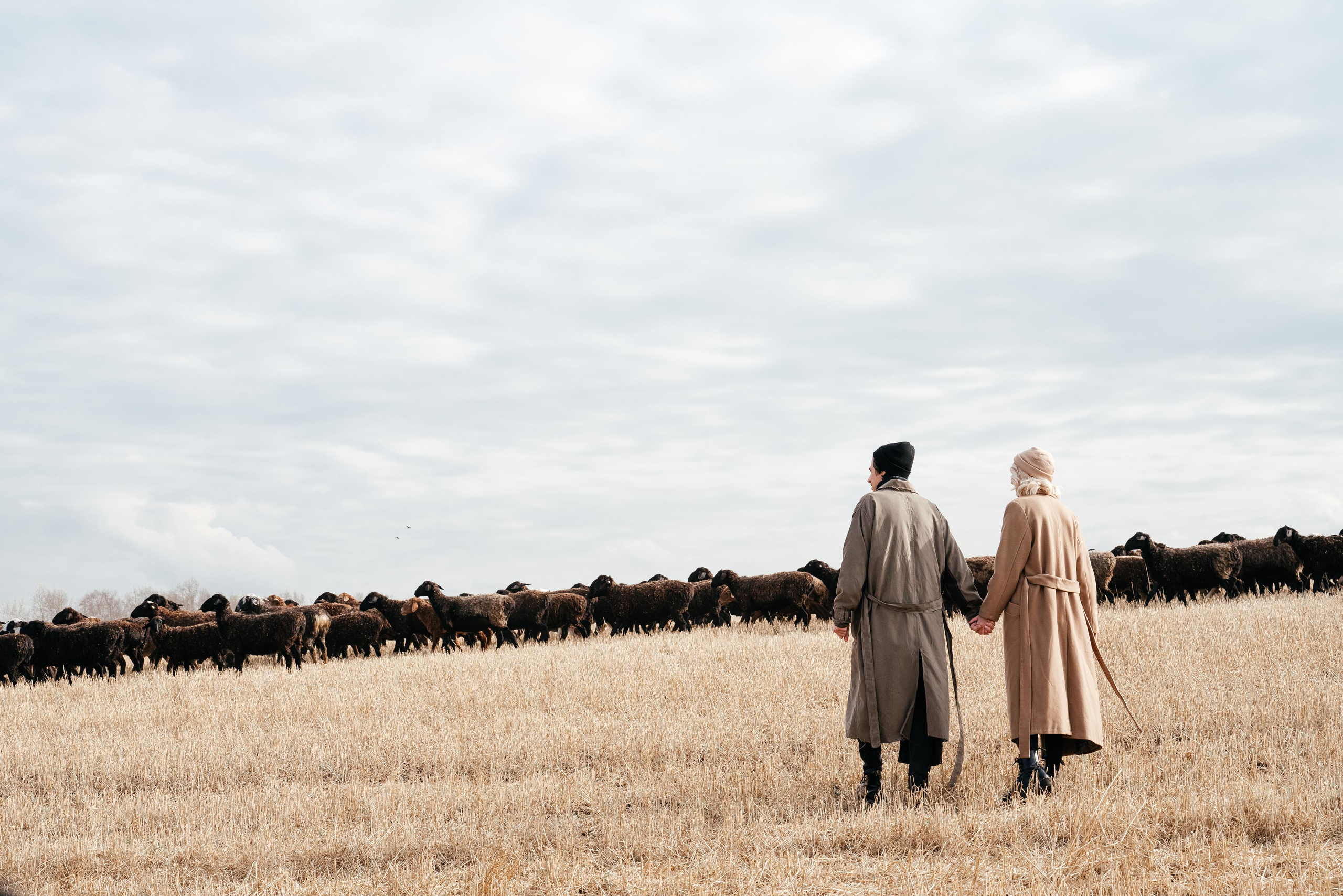 N | M. Свадебный и семейный фотограф в Новосибирске Светлана Варутина