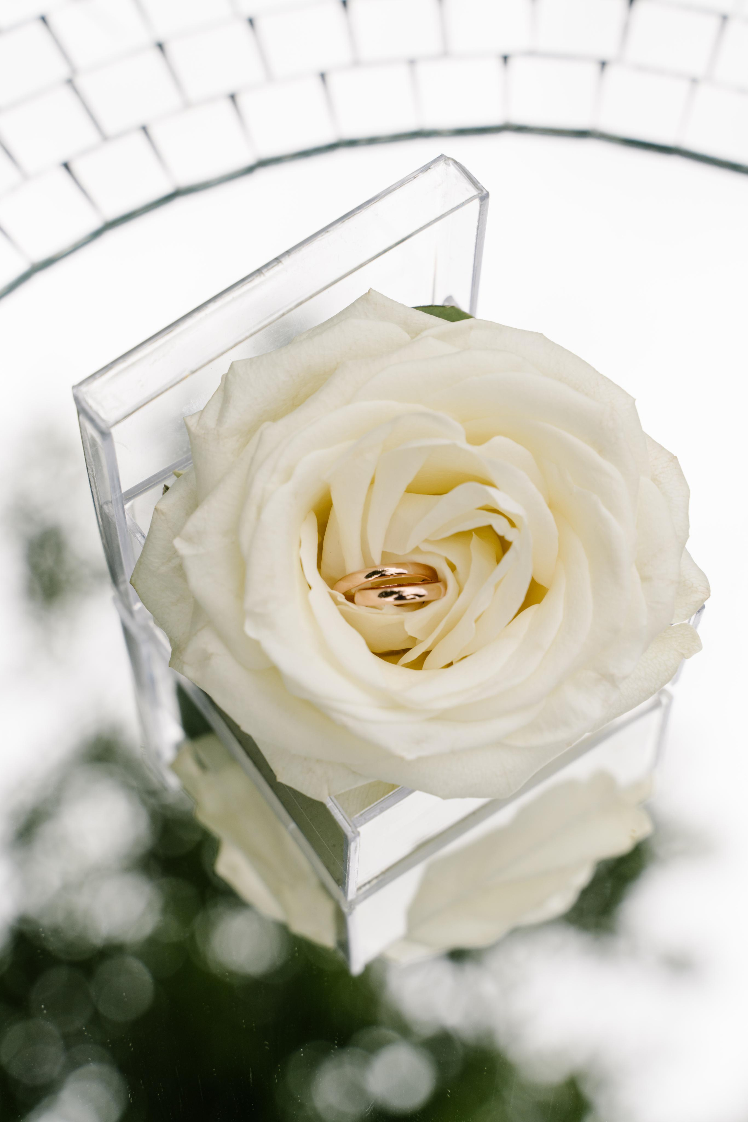 N | A. Свадебный и семейный фотограф в Новосибирске Светлана Варутина