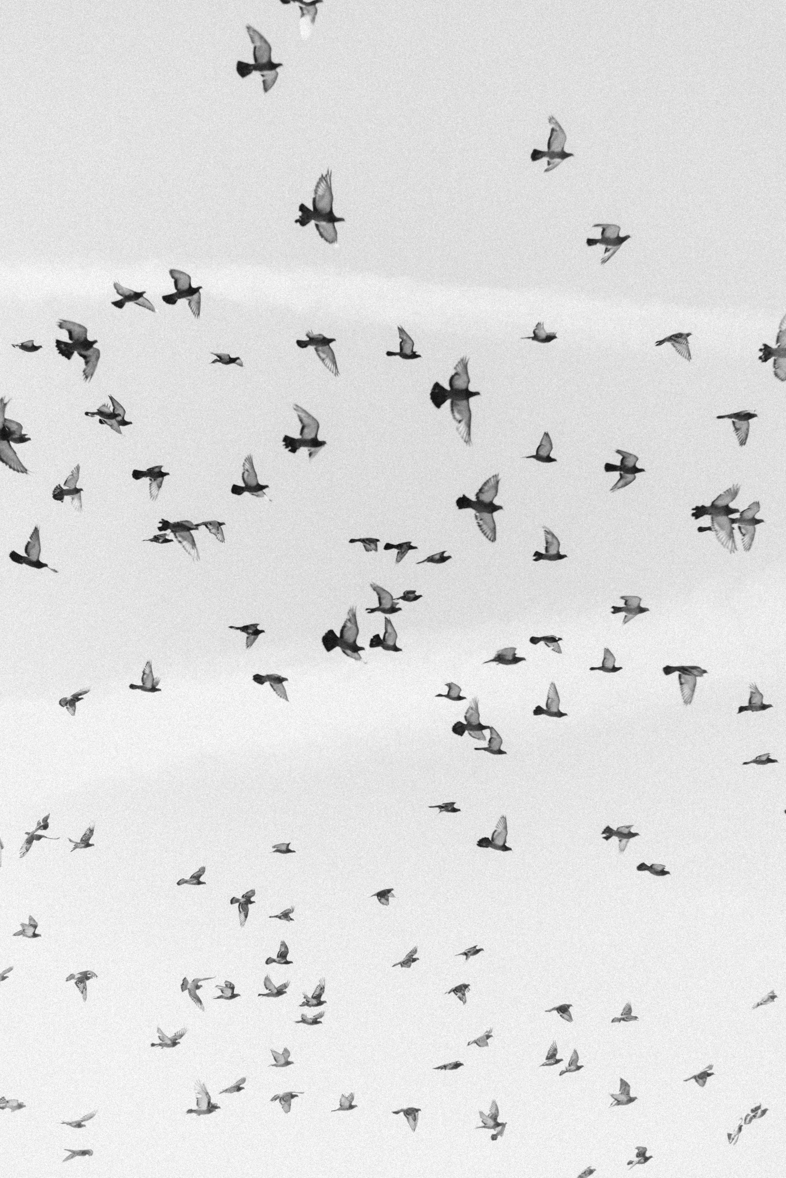 Иван и Юлия. Свадебный и семейный фотограф в Йошкар-Оле, Питере и Казани Александра Богинич