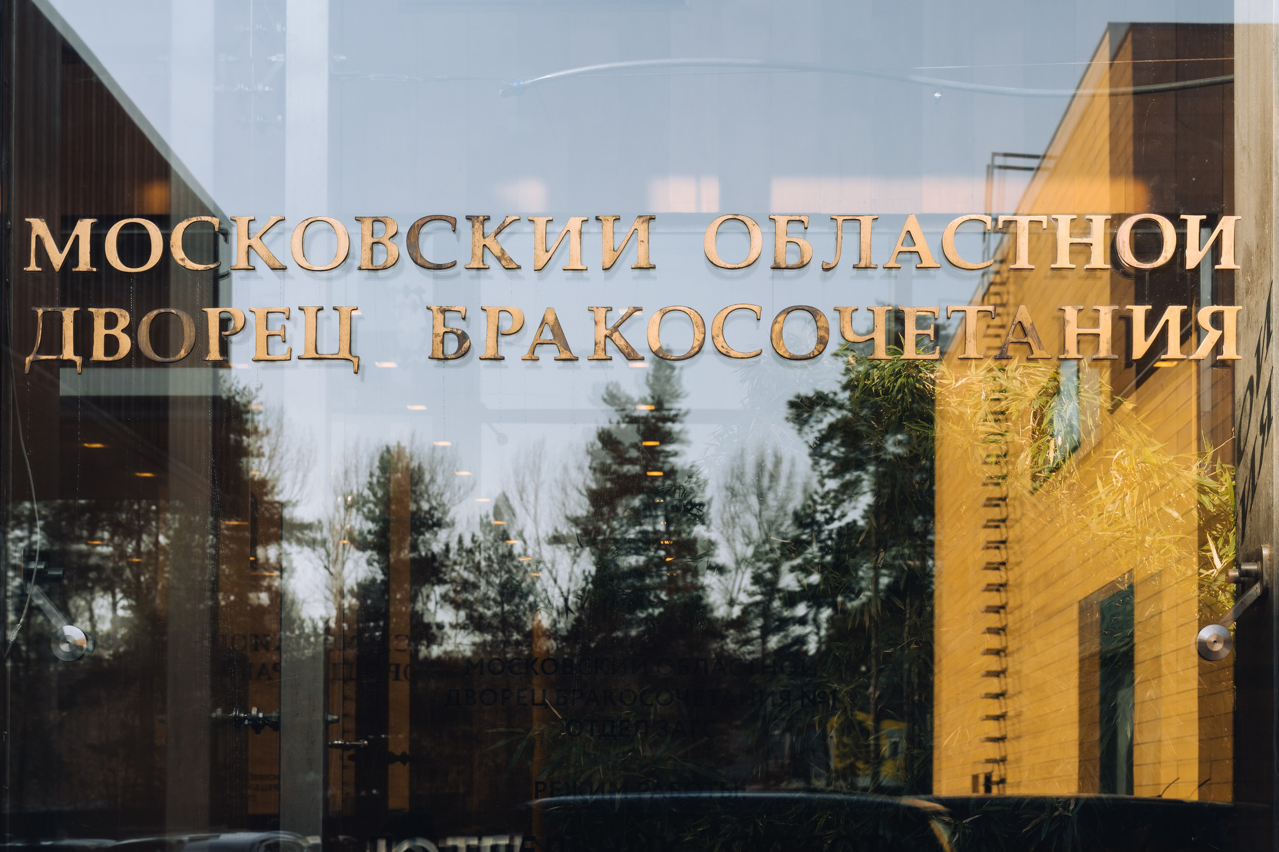 Сергей и Анастасия. Свадебный фотограф в Москве Яна Деньгина