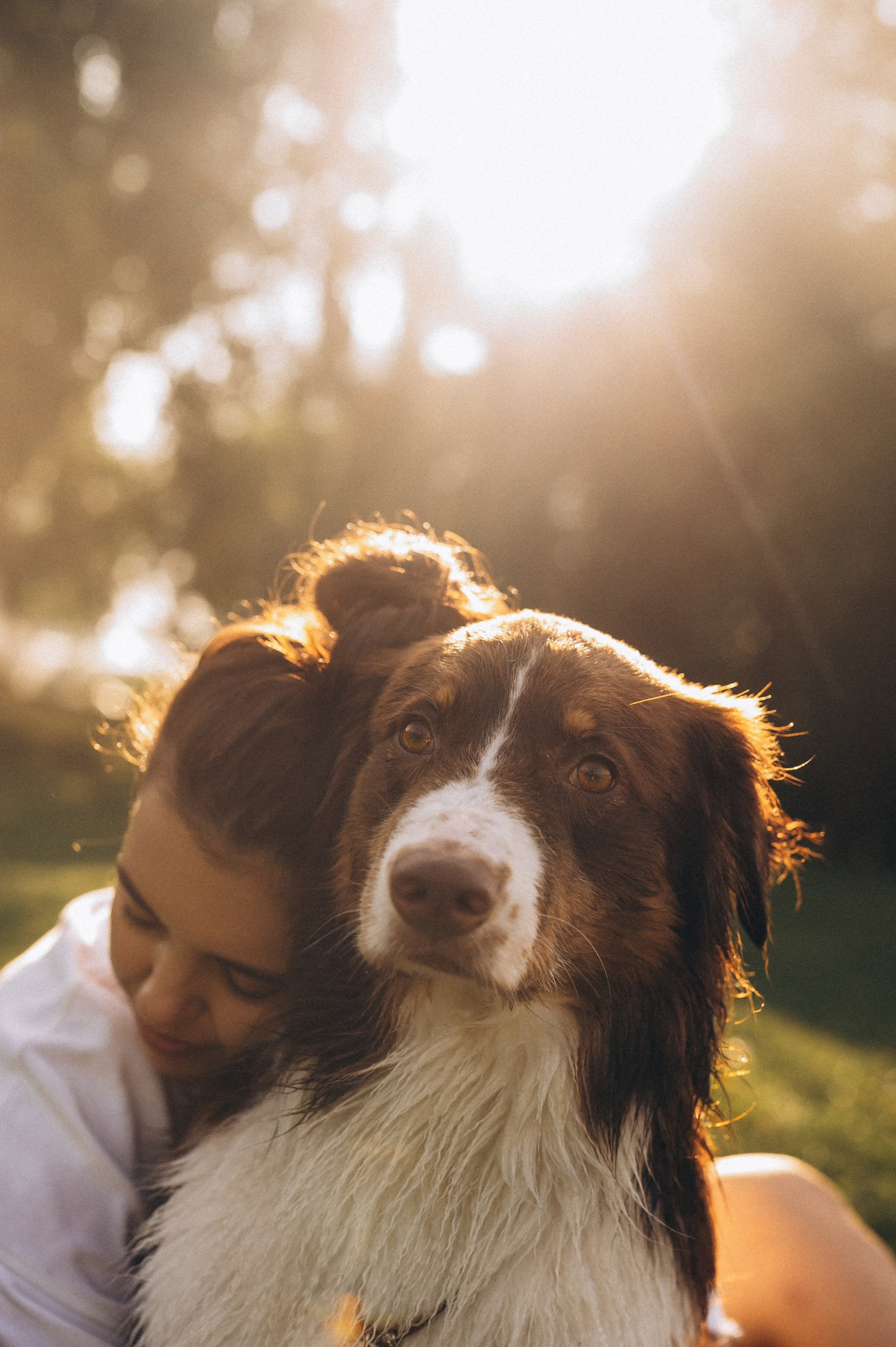 Настя и Оушен. Семейный и свадебный фотограф в Красноярске Садкеева Юлия