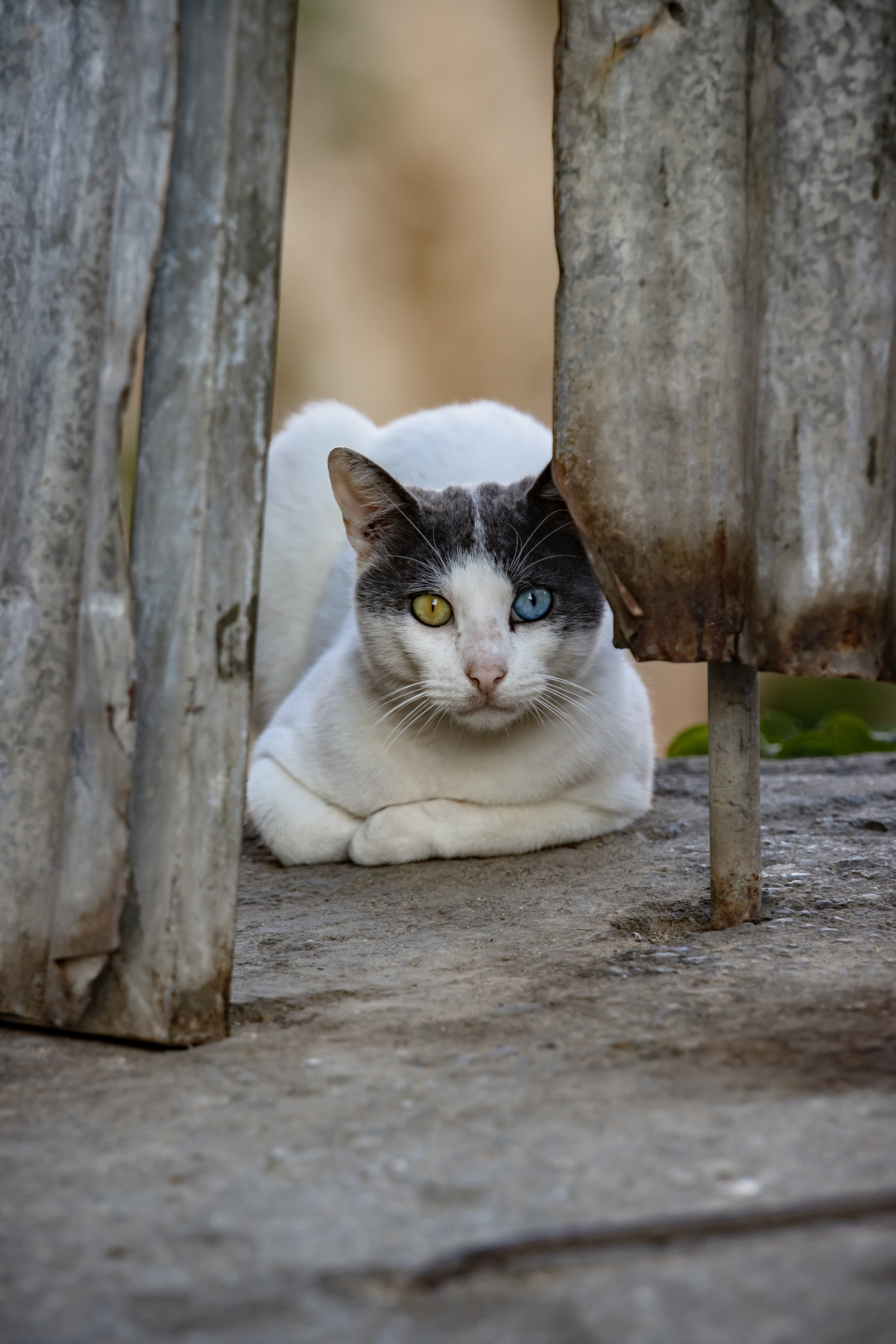 TRAVEL&NATURE. NE Cinema — backstage and reportage photography in cinema, music, Automotive and sport