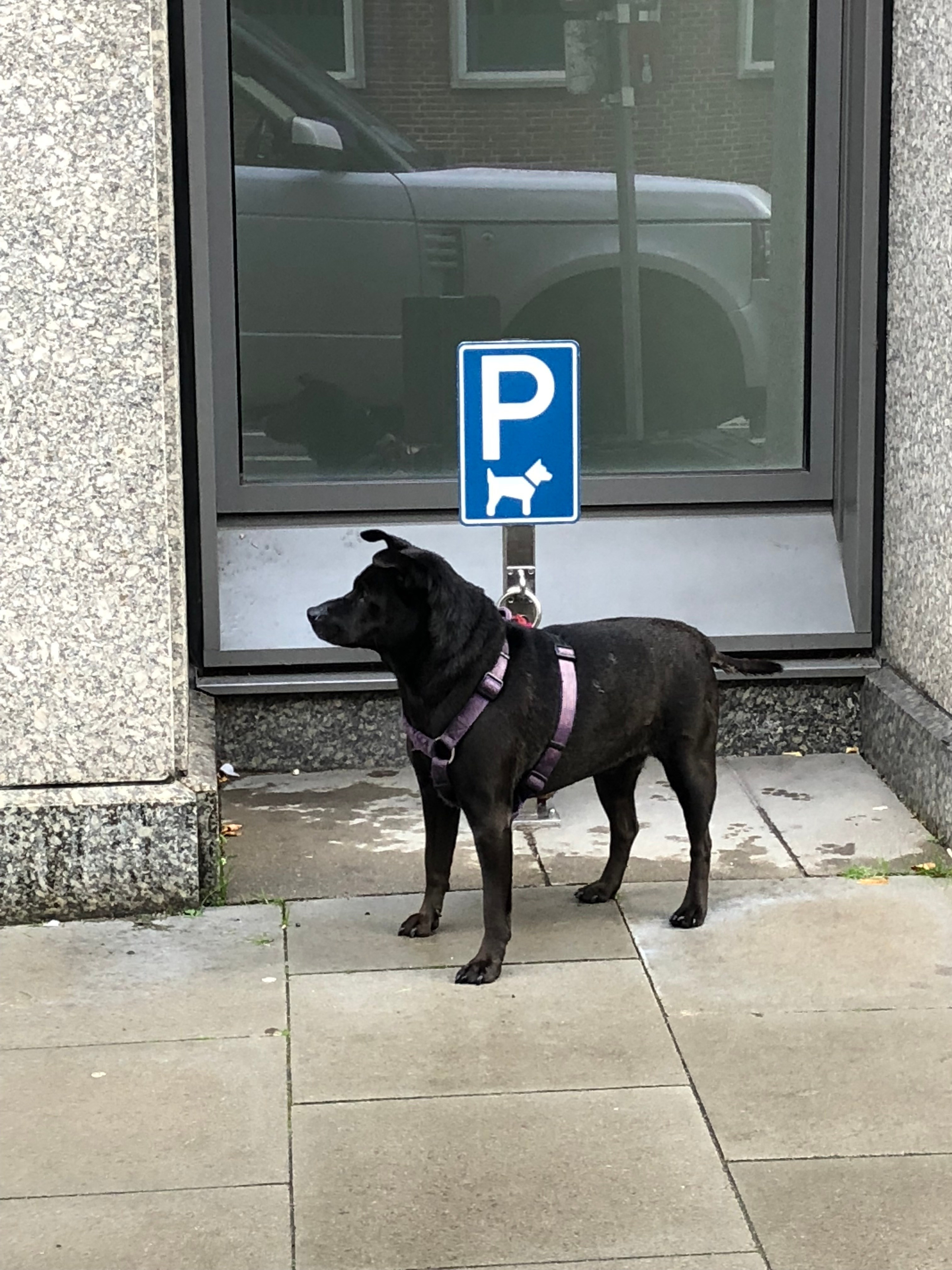 STREET. NE Cinema — backstage and reportage photography in cinema, music, Automotive and sport