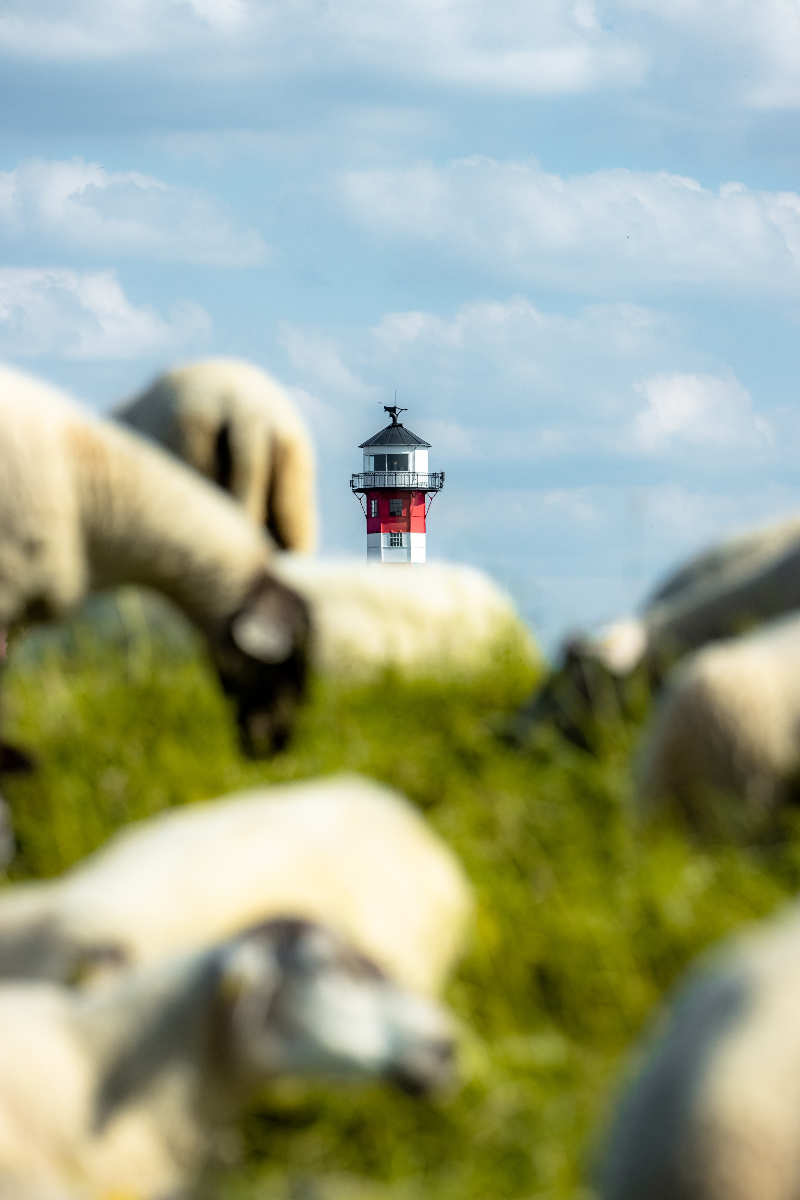 TRAVEL&NATURE. NE Cinema — backstage and reportage photography in cinema, music, Automotive and sport