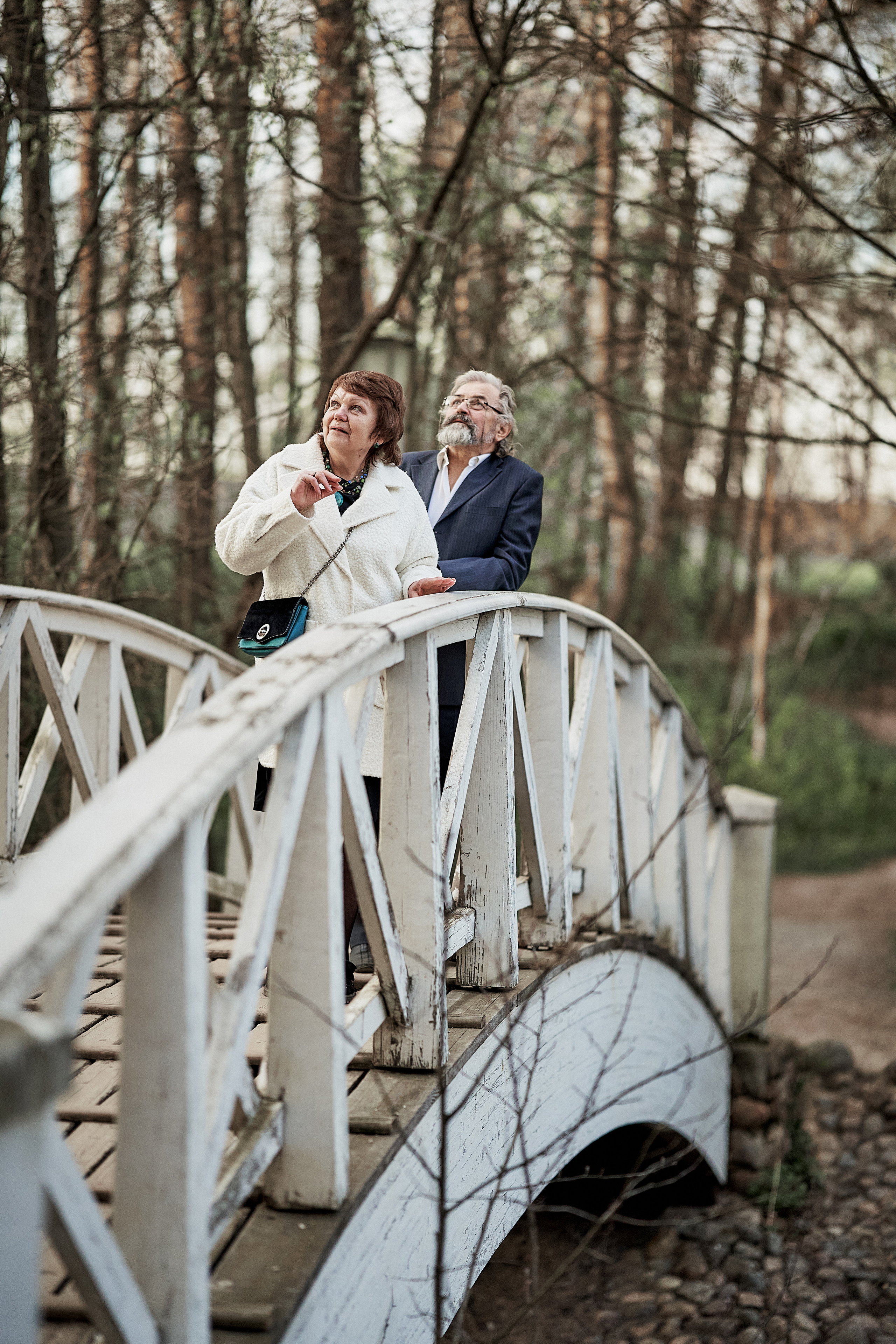 Горбатый мостик в парке Остафьево 