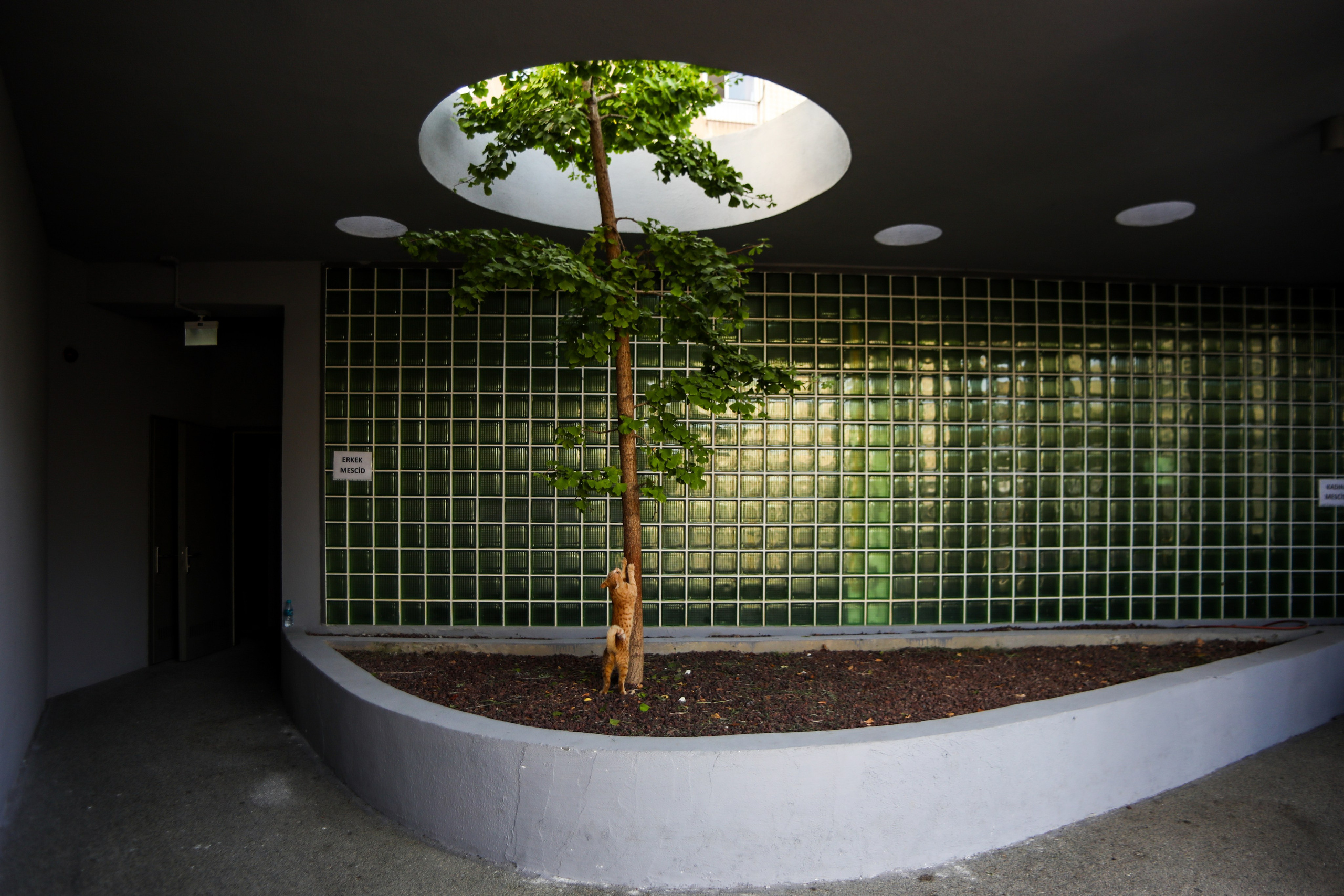 ARCHITECTURE. Professional reportage photographer in Israel Julia Shaki