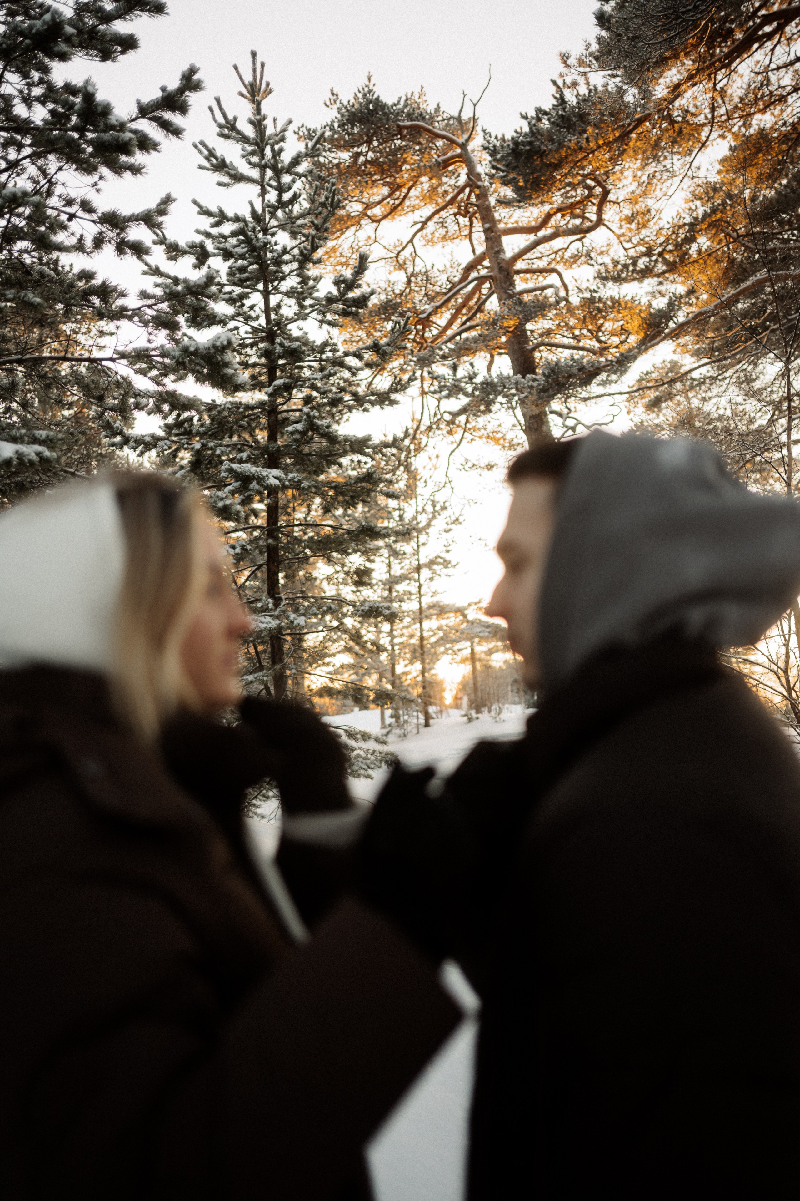 [love at the Edge of the North]. Фотограф в Архангельске