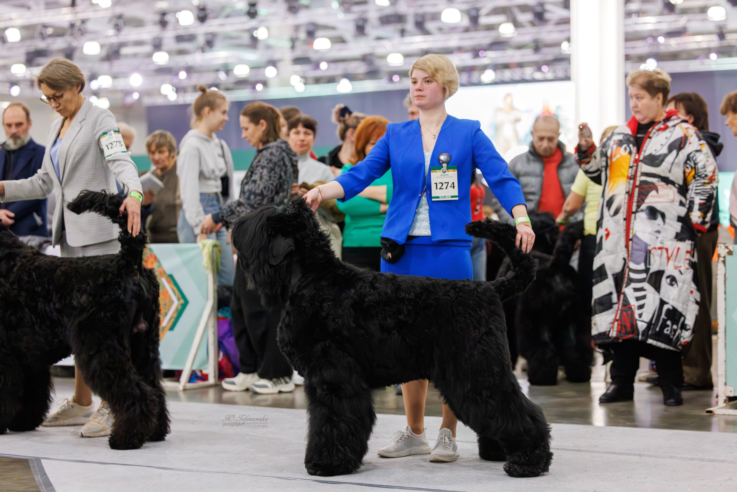 Евразия 15-16.11.2025. Фотограф-анималист Юлия Германика