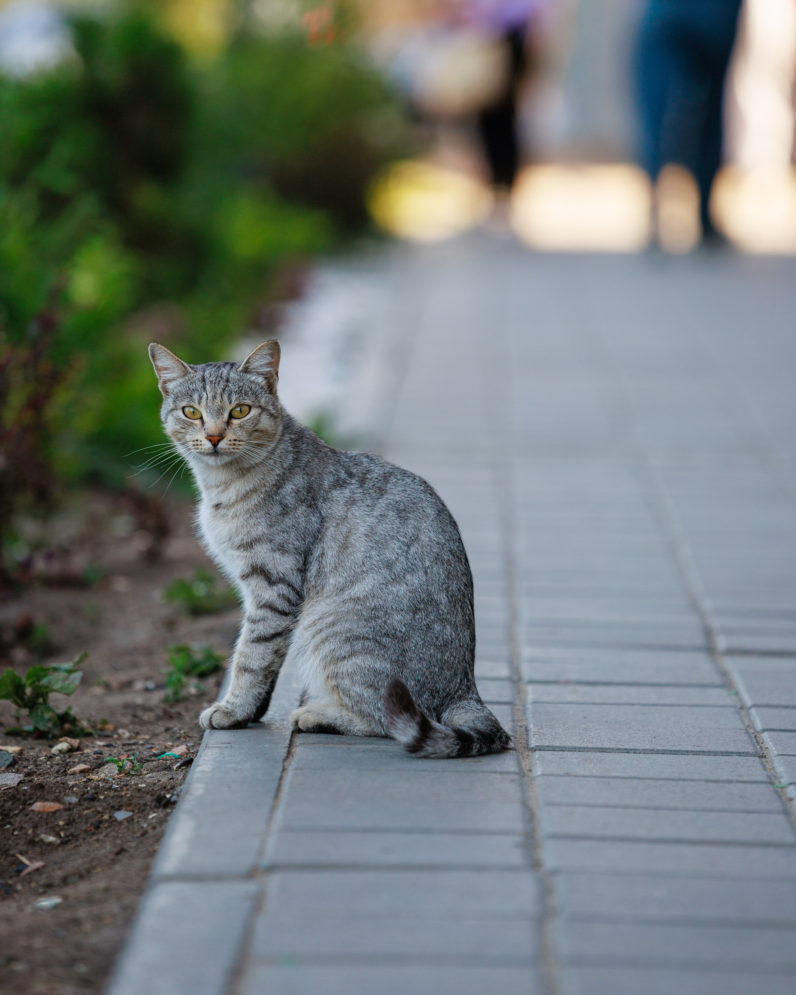 Фотопрогулки. Фотограф Роман Князев