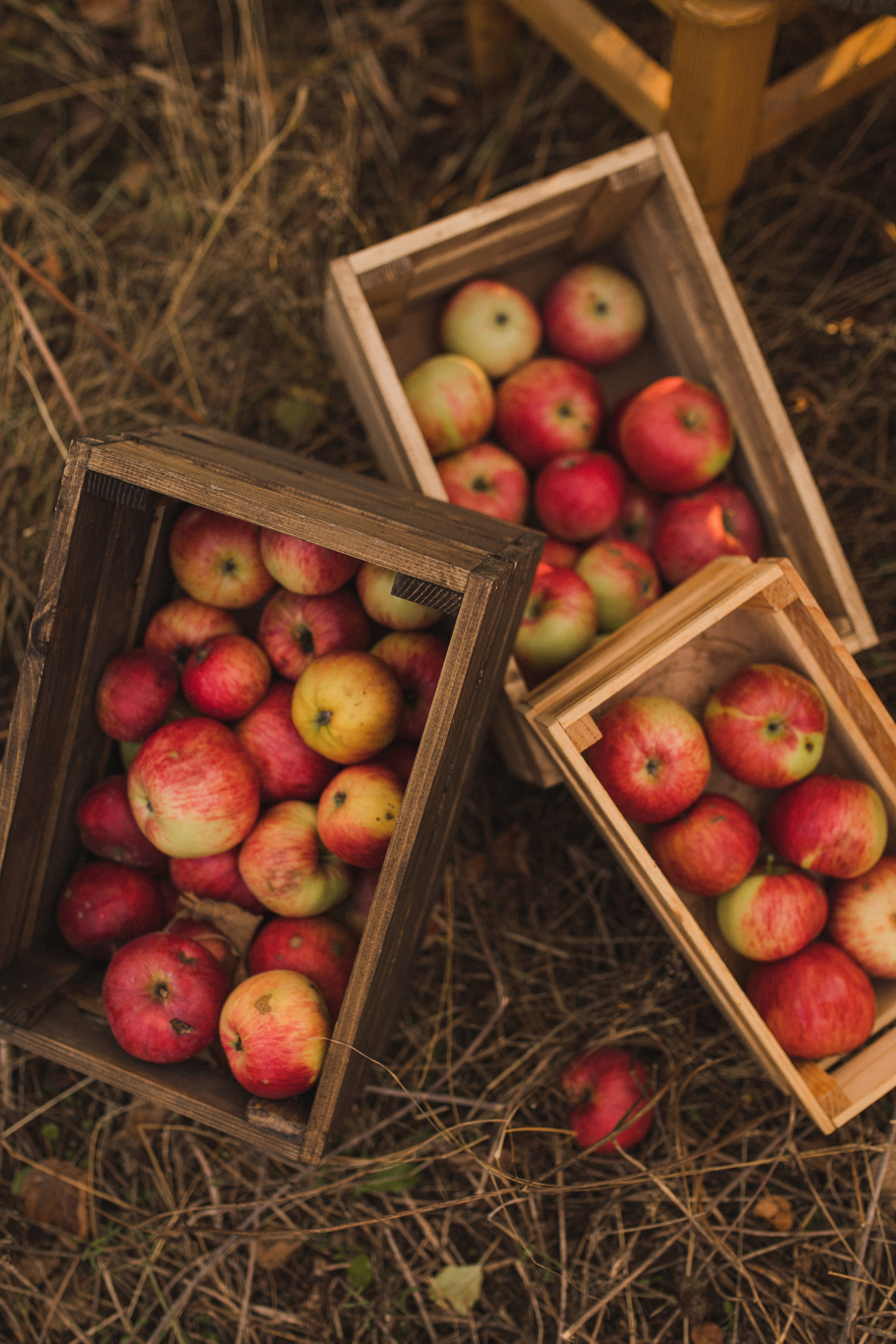 Первый день осени. Свадебный и семейный фотограф в Белгороде Евгения Курочкина
