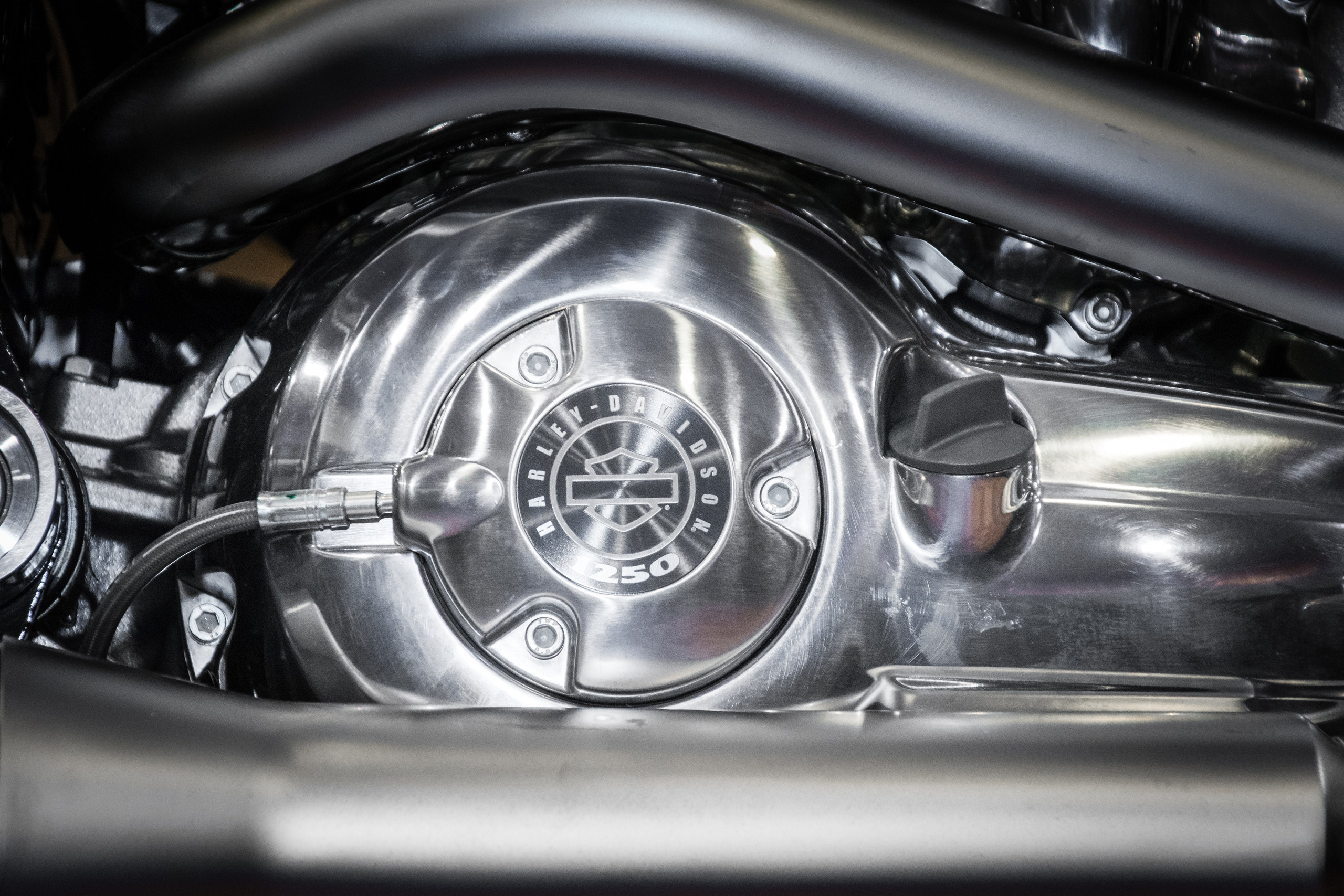 Контент-фотосъёмка для соц.сетей бизнеса 