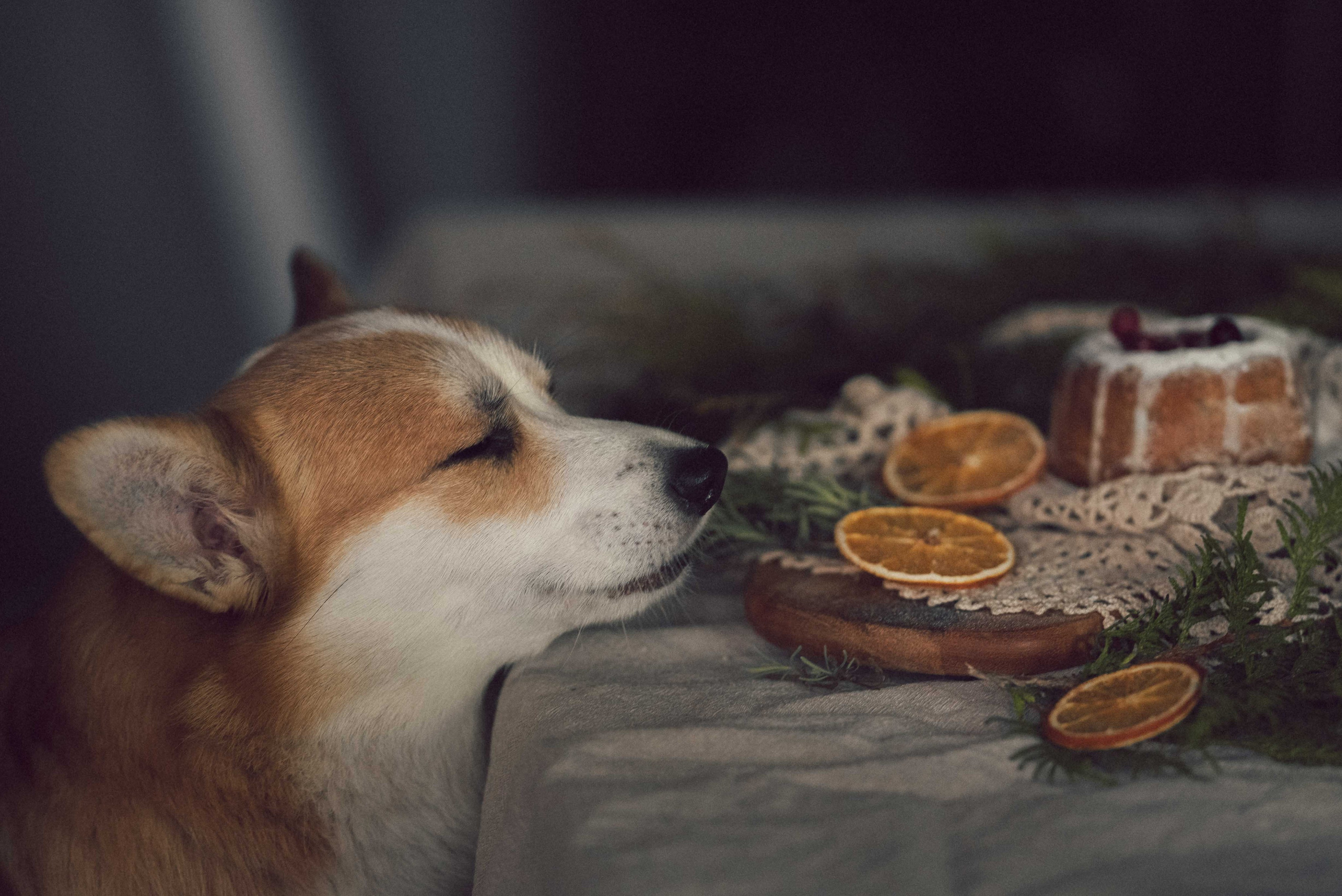 Семейный фотограф в Санкт-Петербурге Ирина Мороз