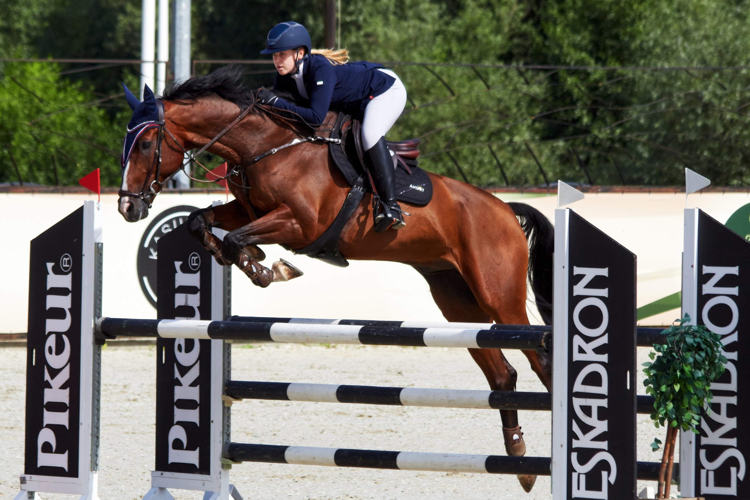 Конкур в «Виват, Россия». Фотограф анималист — Тула, Москва