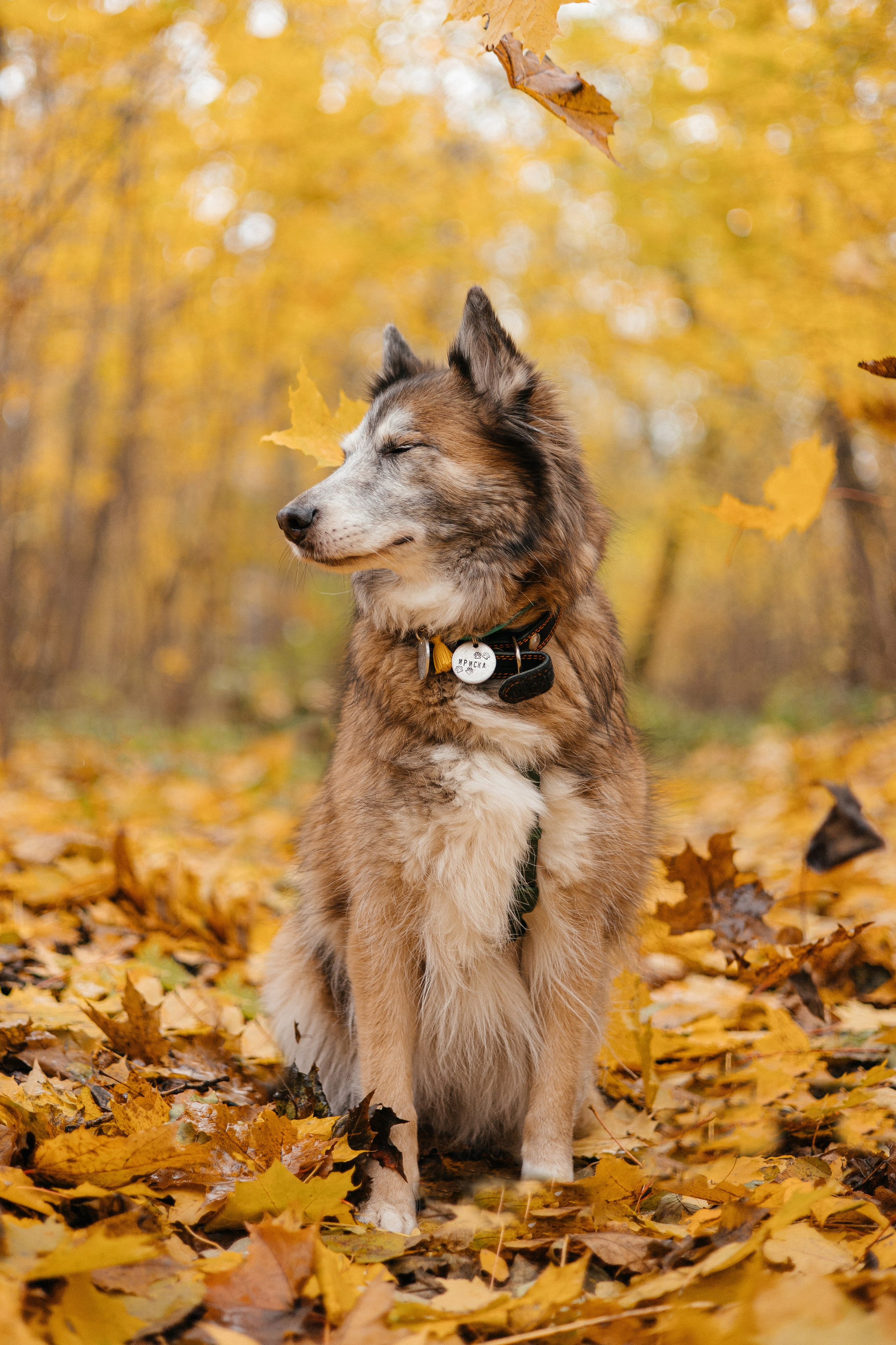 Аня и Ириска. Фотограф Анна Луценко Москва