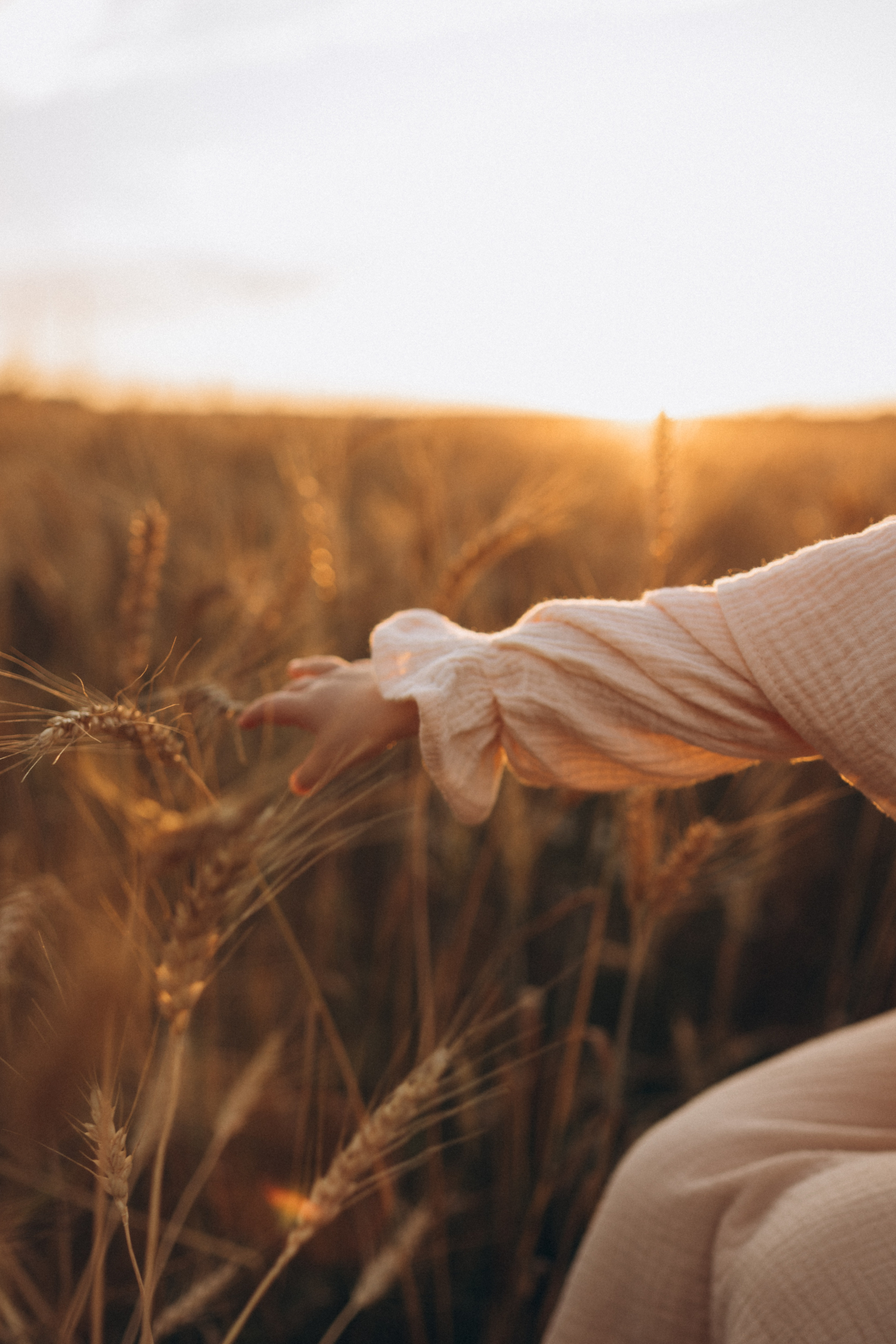 В поле пшеницы. Семейный фотограф Мария Маркова Москва и Одинцово