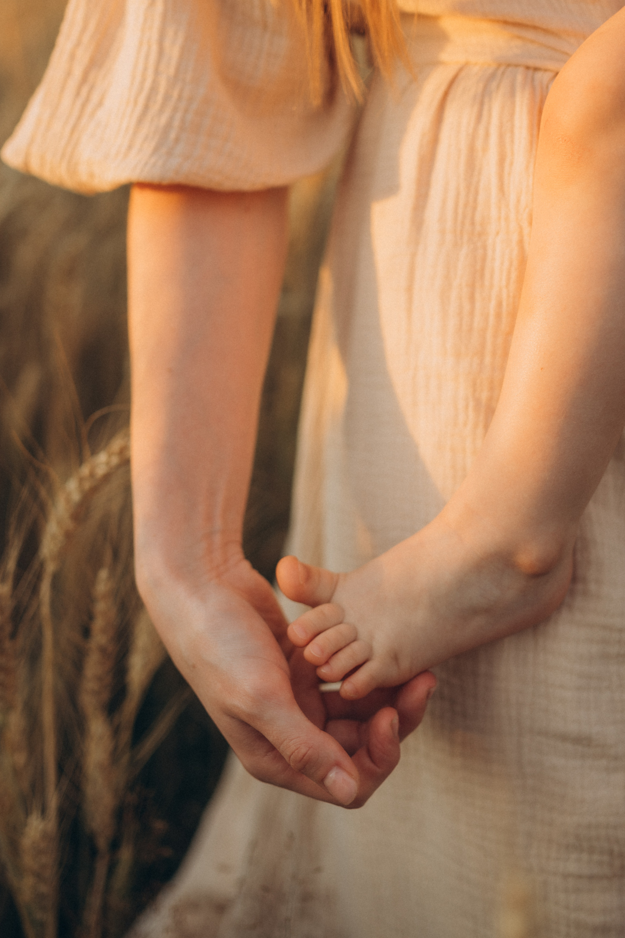 В поле пшеницы. Семейный фотограф Мария Маркова Москва и Одинцово