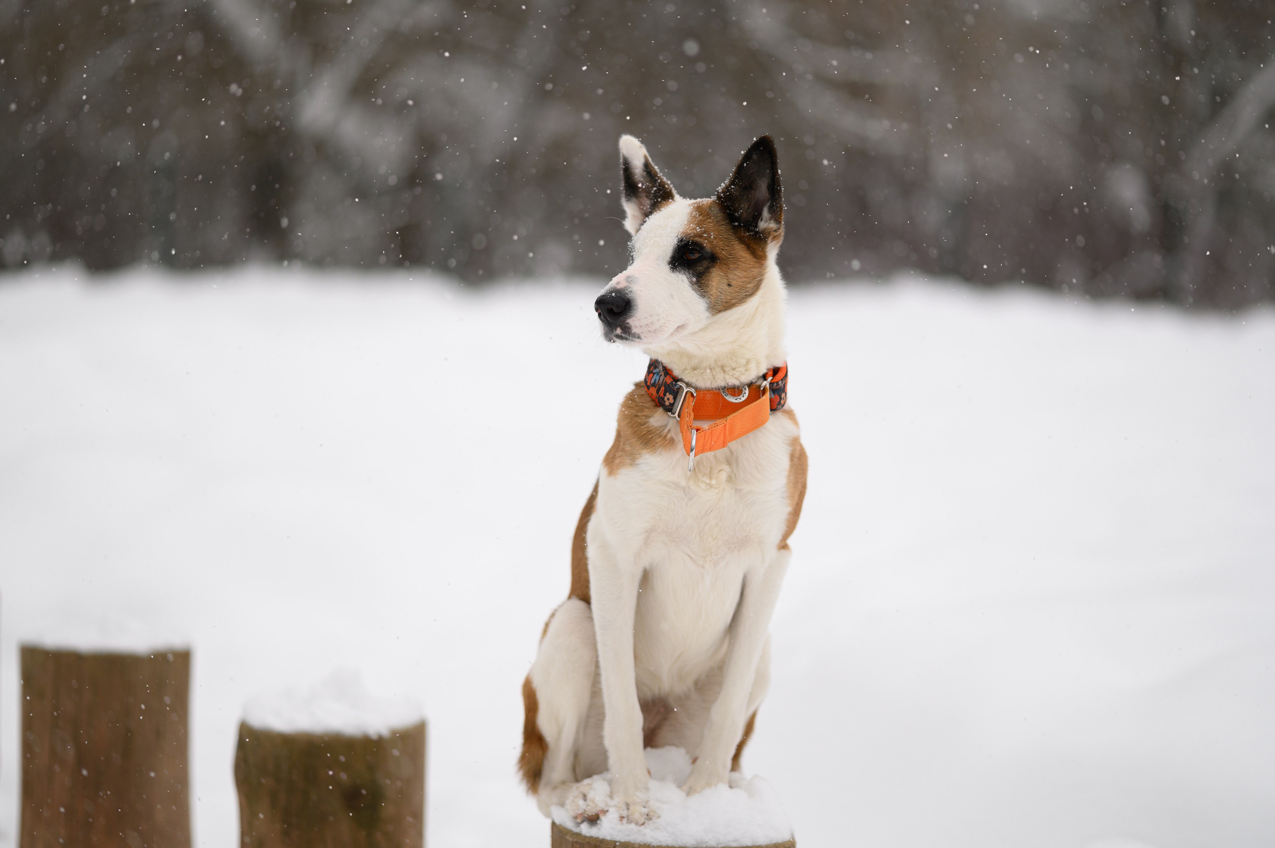 Акцент на живом. Фотограф в Москве Полина Старцева