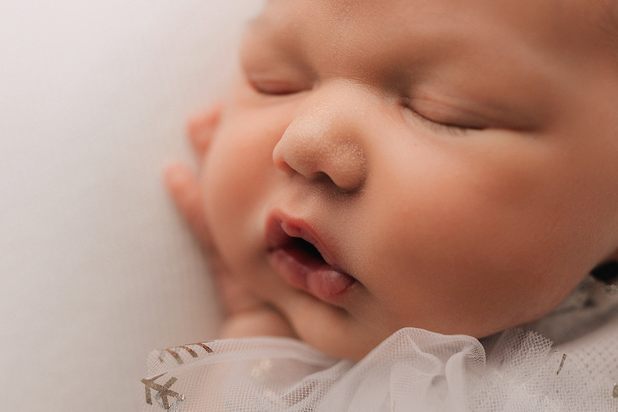 Аделина. Семейный фотограф новорождённых в Серпухове Юлия Новикова +79637785957