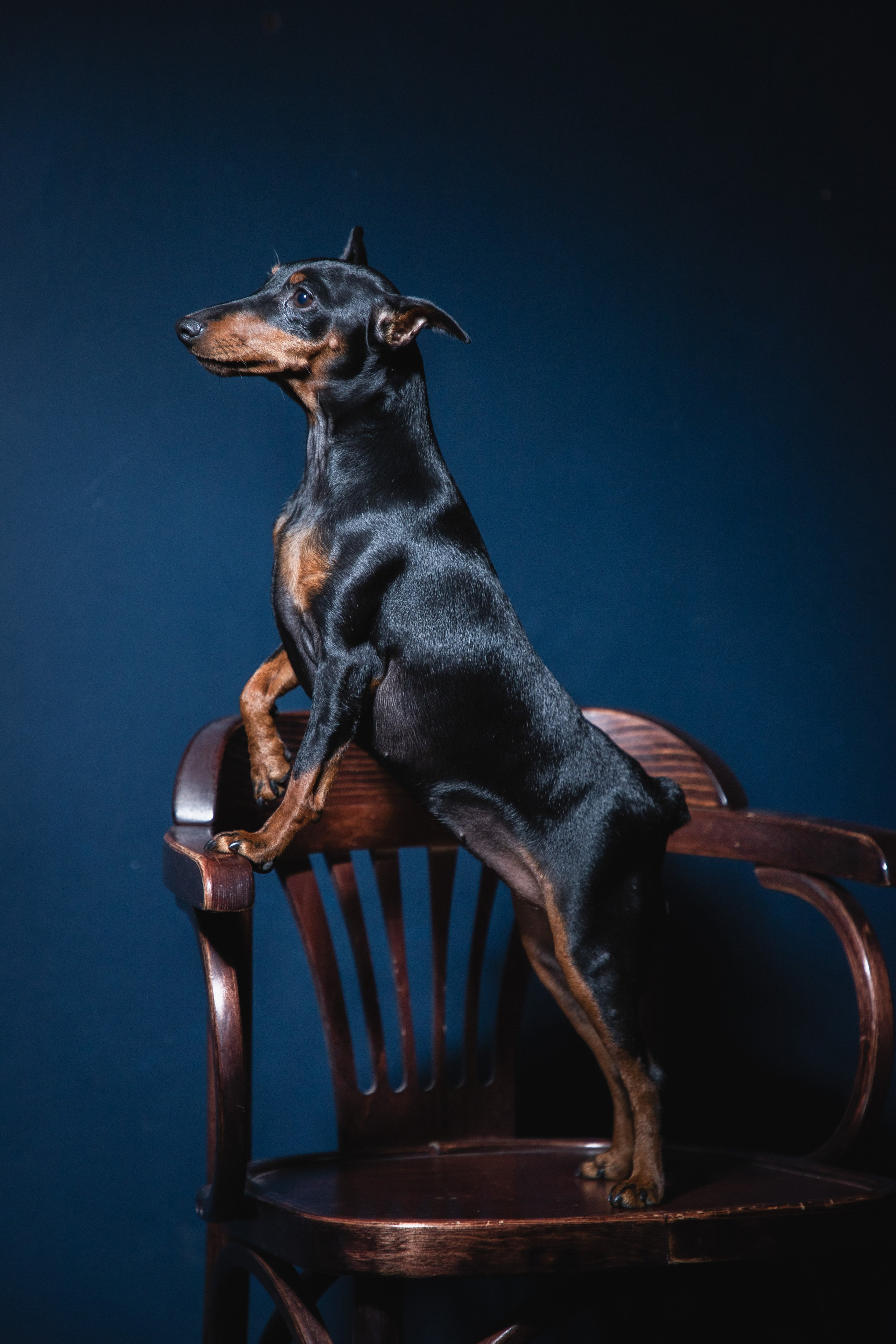 Портретный фотограф Стас Муравинский