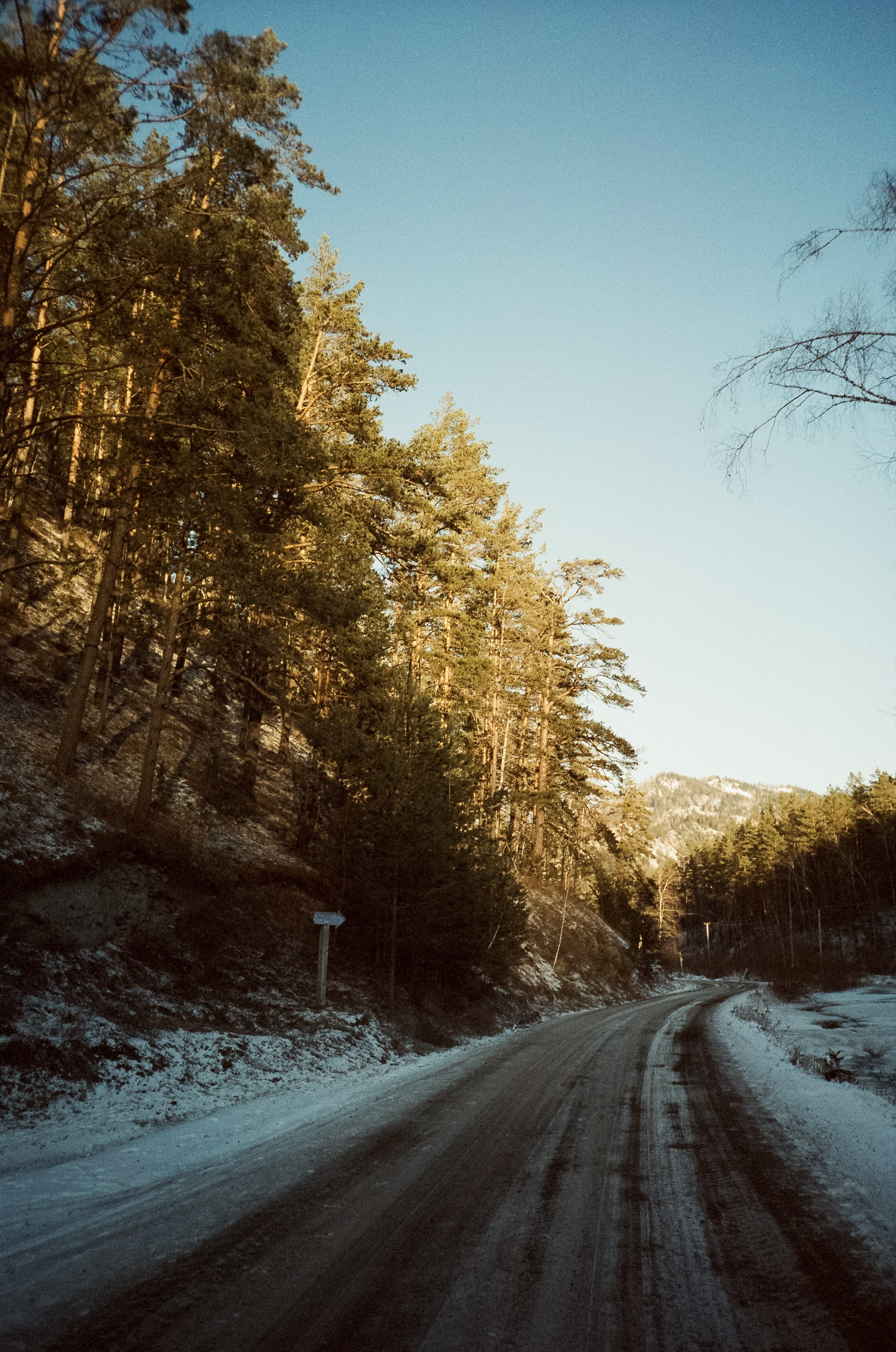 Дорога вдоль горной реки Куюм и локации Чемальского тракта. Фотограф-документалист Мария Осокина