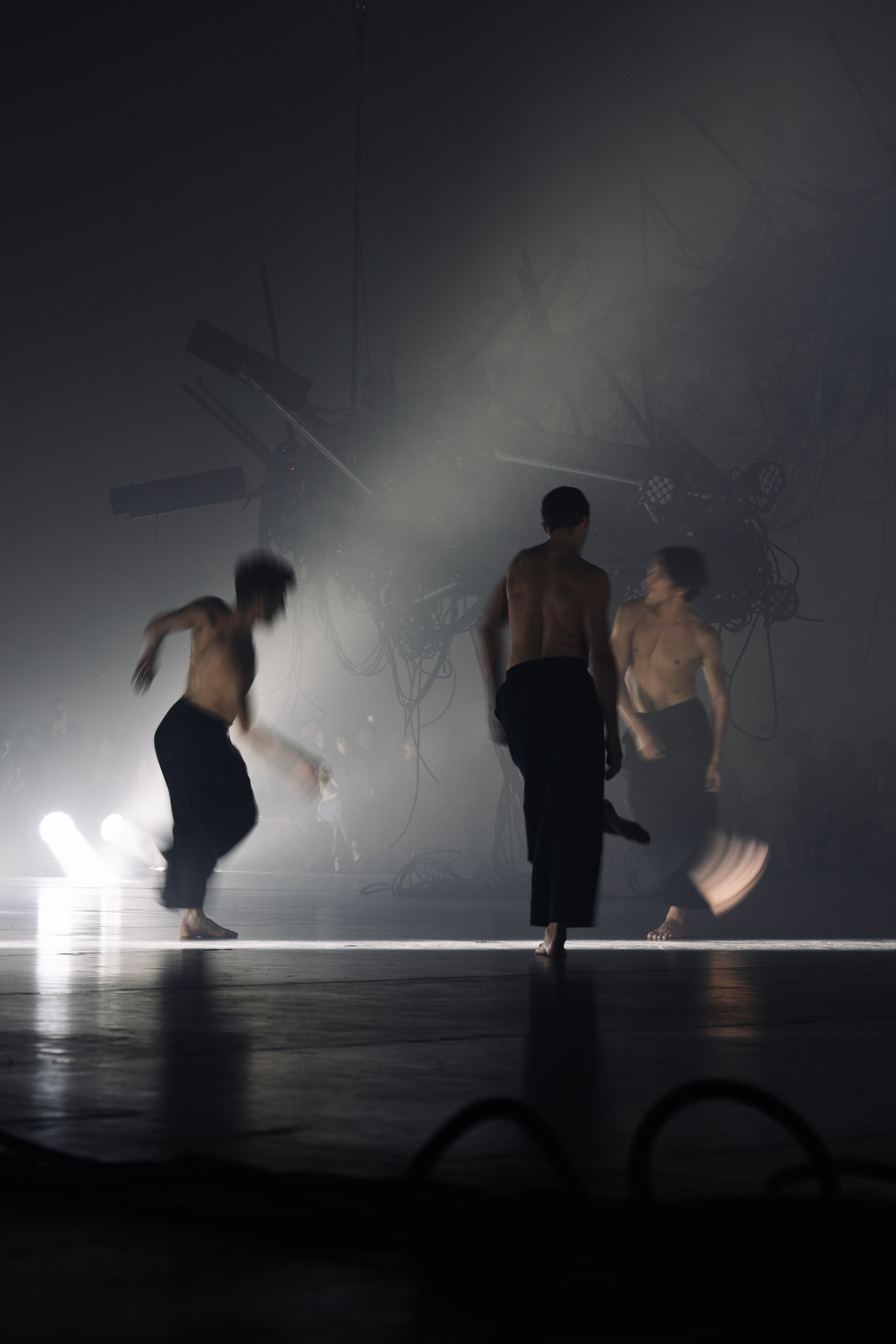 PERFORMA, The Hour of the Horse. @tomrus: Рустам Шагиморданов — фотограф